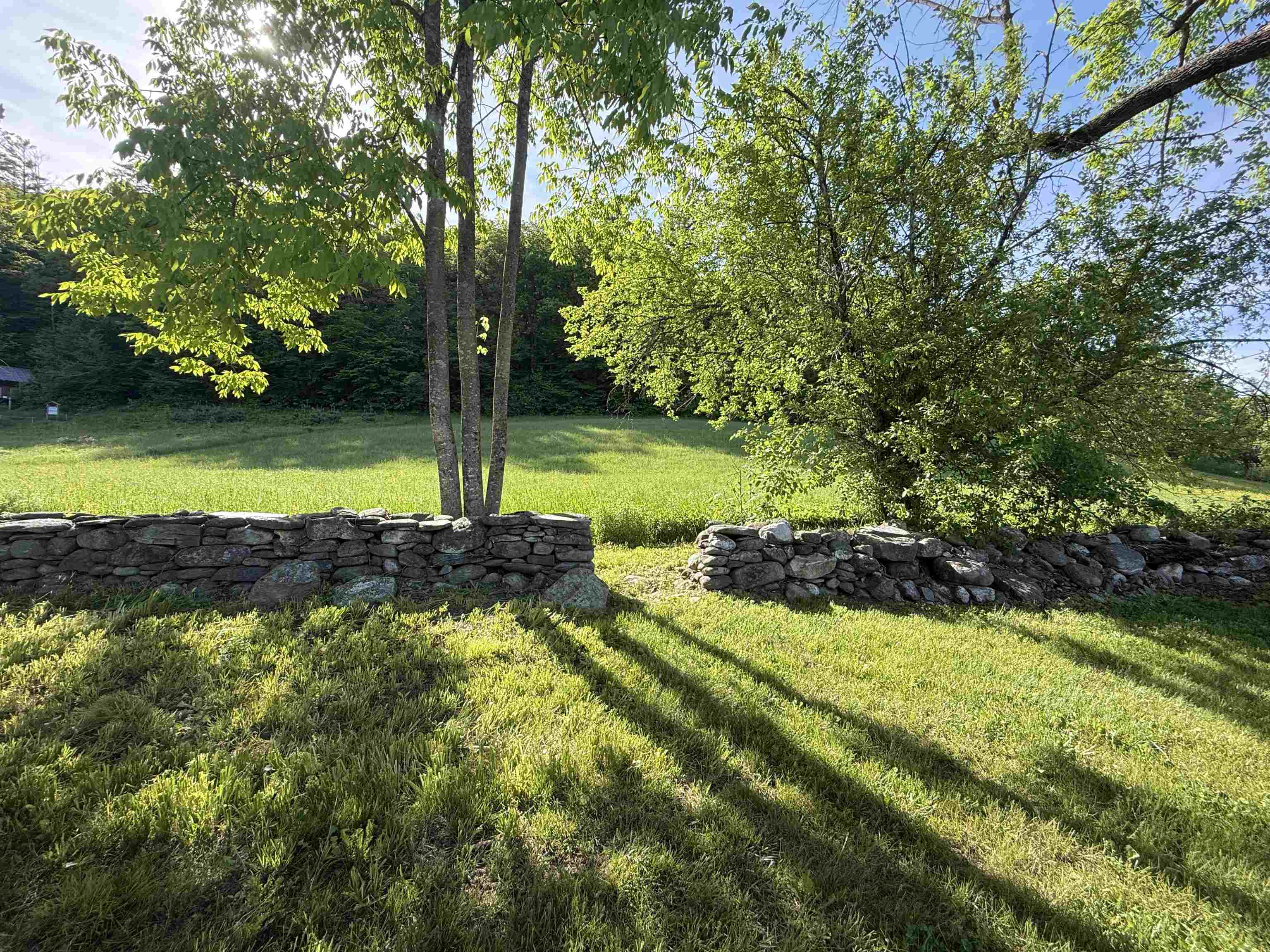 170 Townshend Road Property Photo 48