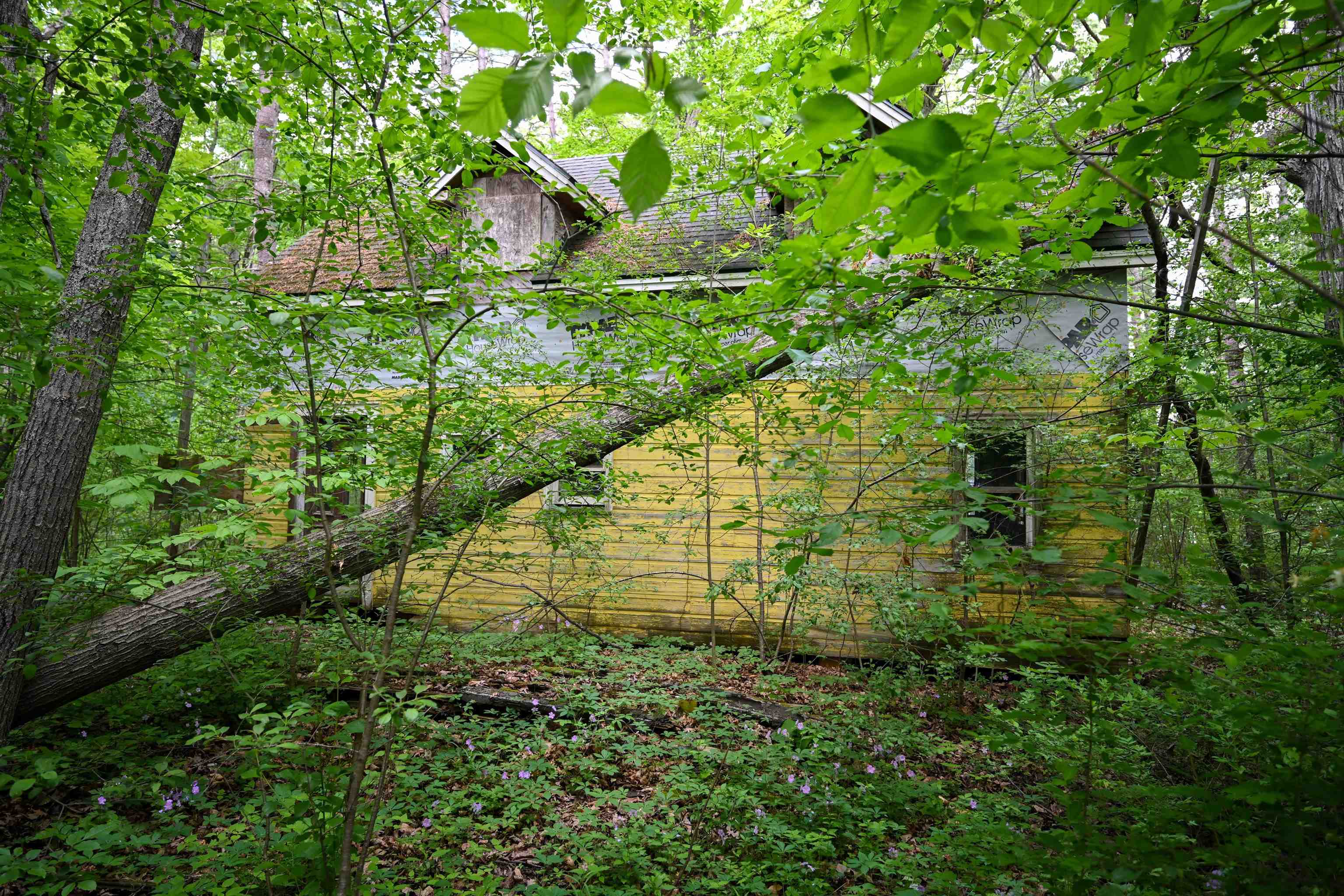 185 Holmes Lane Property Photo 17