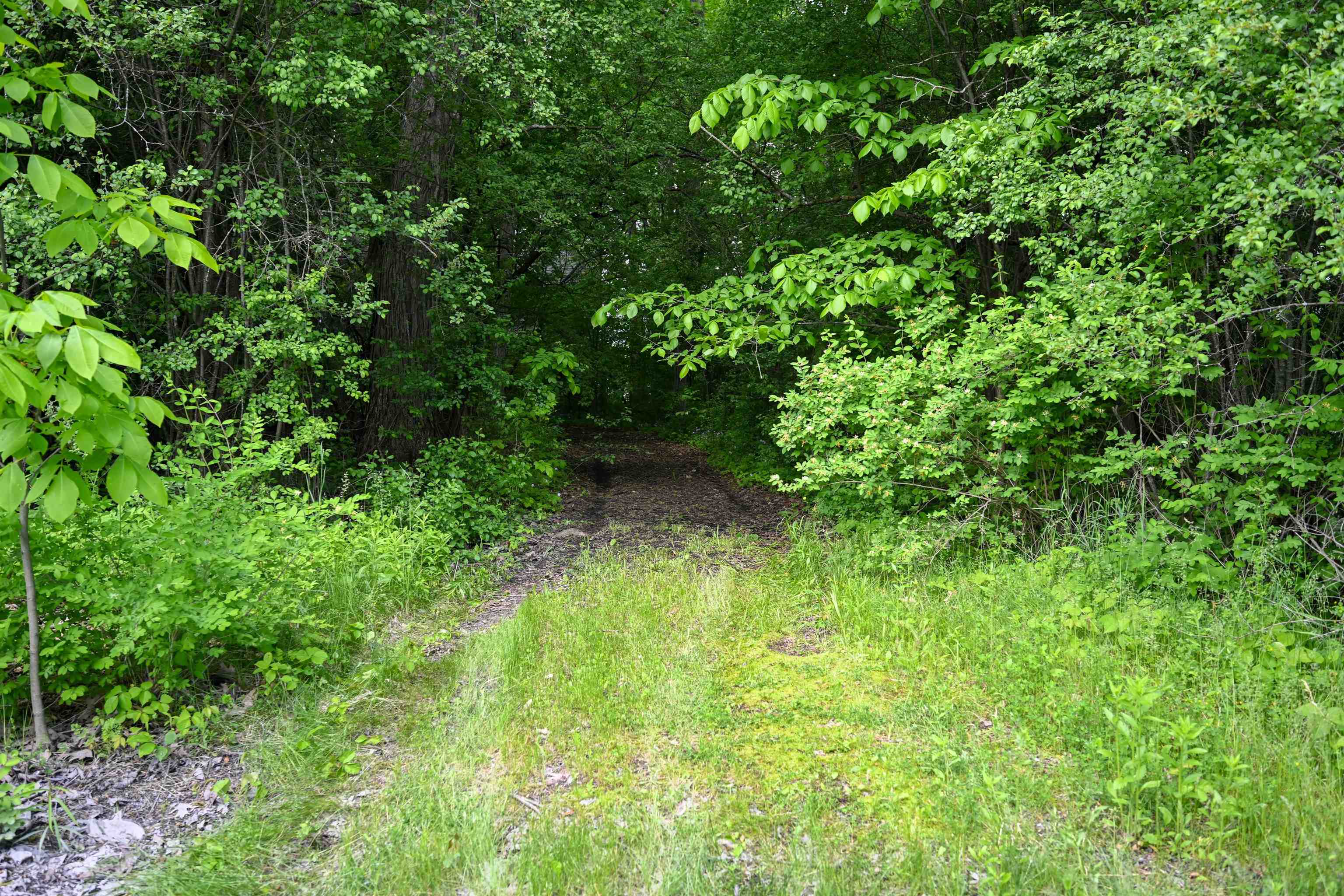 185 Holmes Lane Property Photo 25