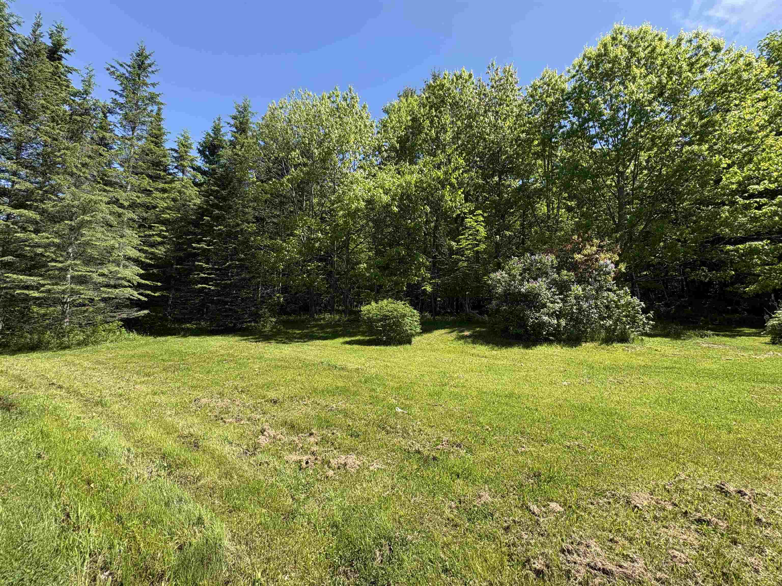 150 Willoughby Lake Road Property Photo 29