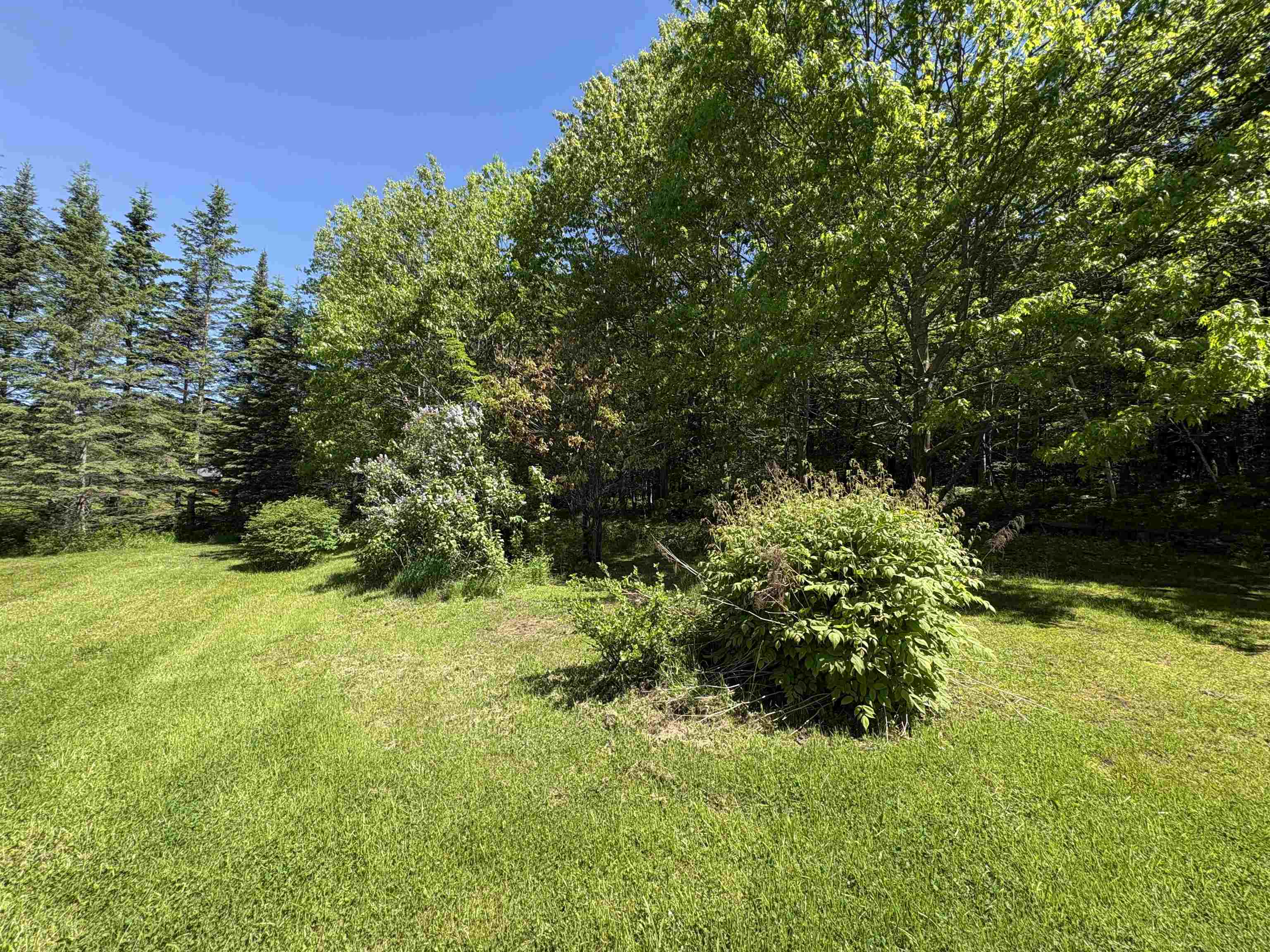 150 Willoughby Lake Road Property Photo 31