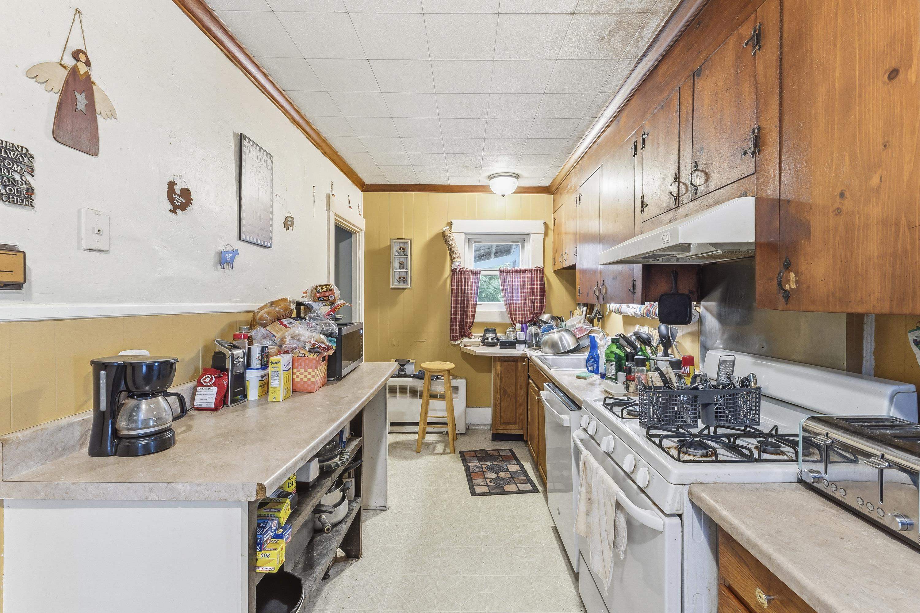 7 Berry Road Property Photo 29