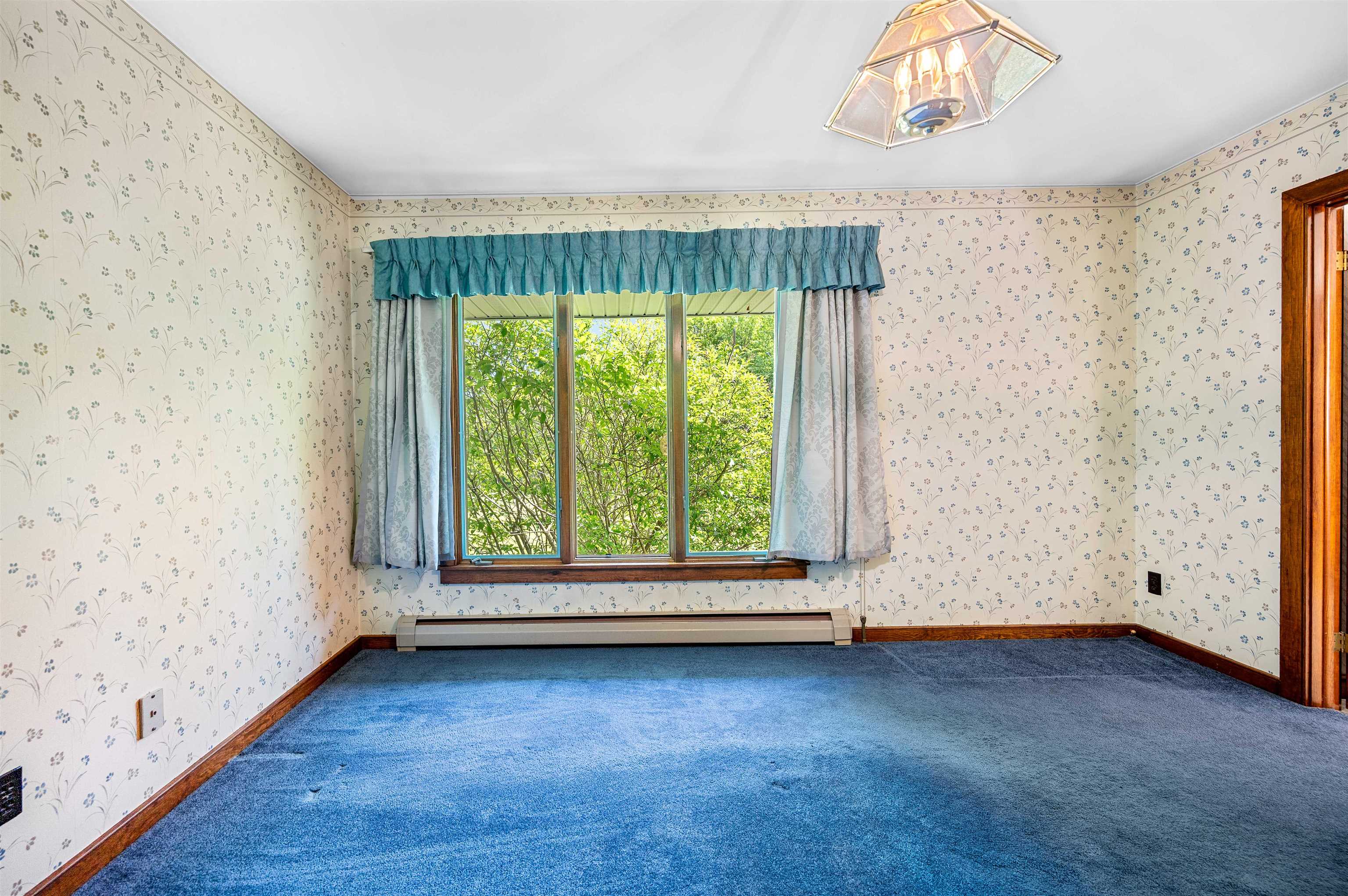 234 Buzzys Road Property Photo 26
