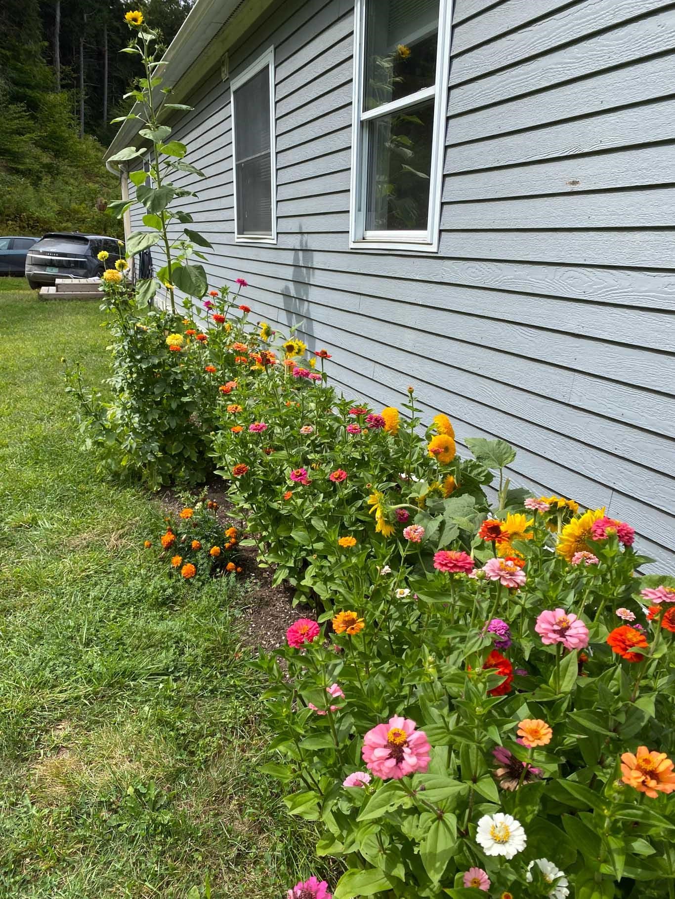 523 Browns Mill Road Property Photo 38