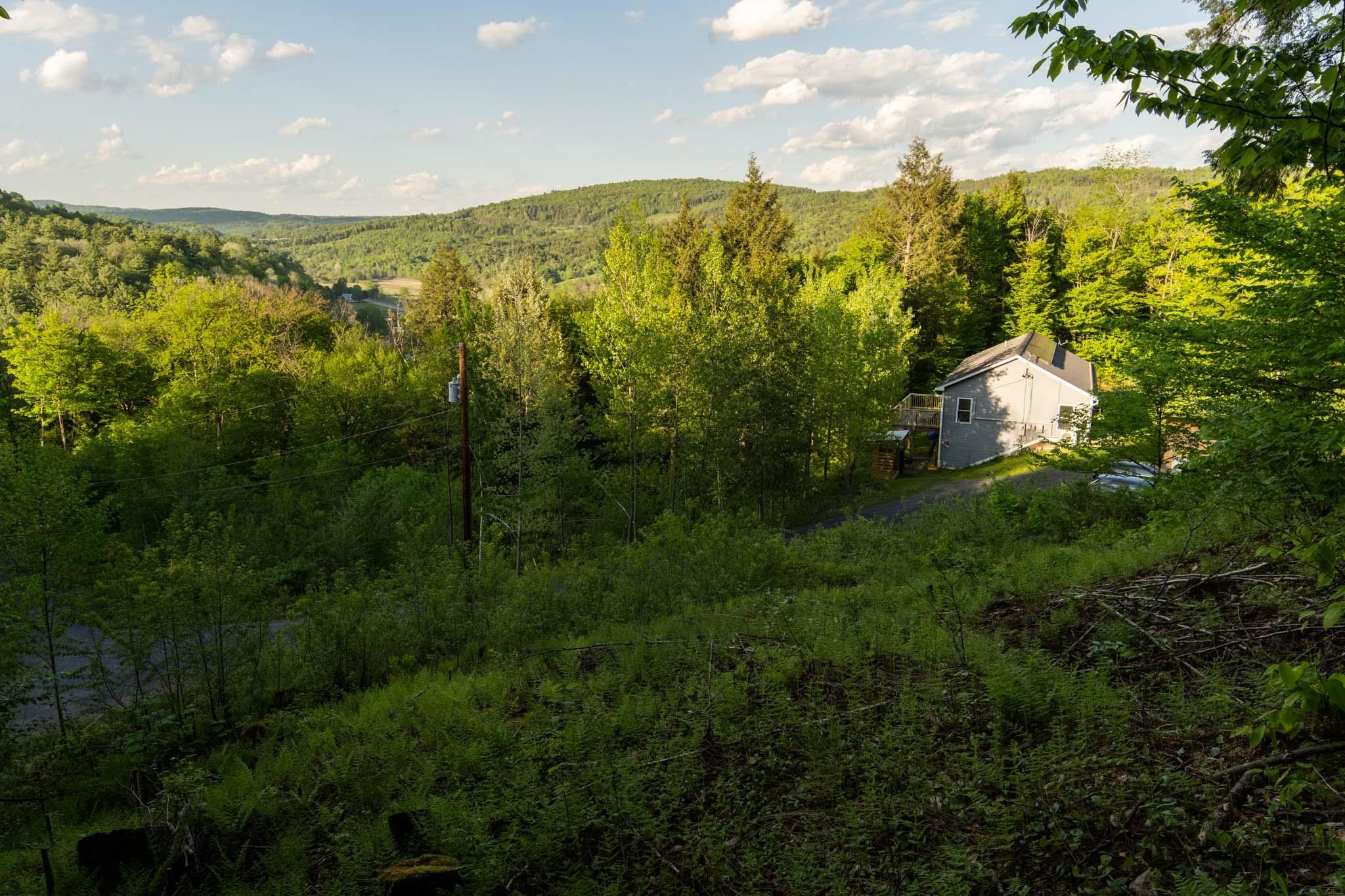 523 Browns Mill Road Property Photo 42