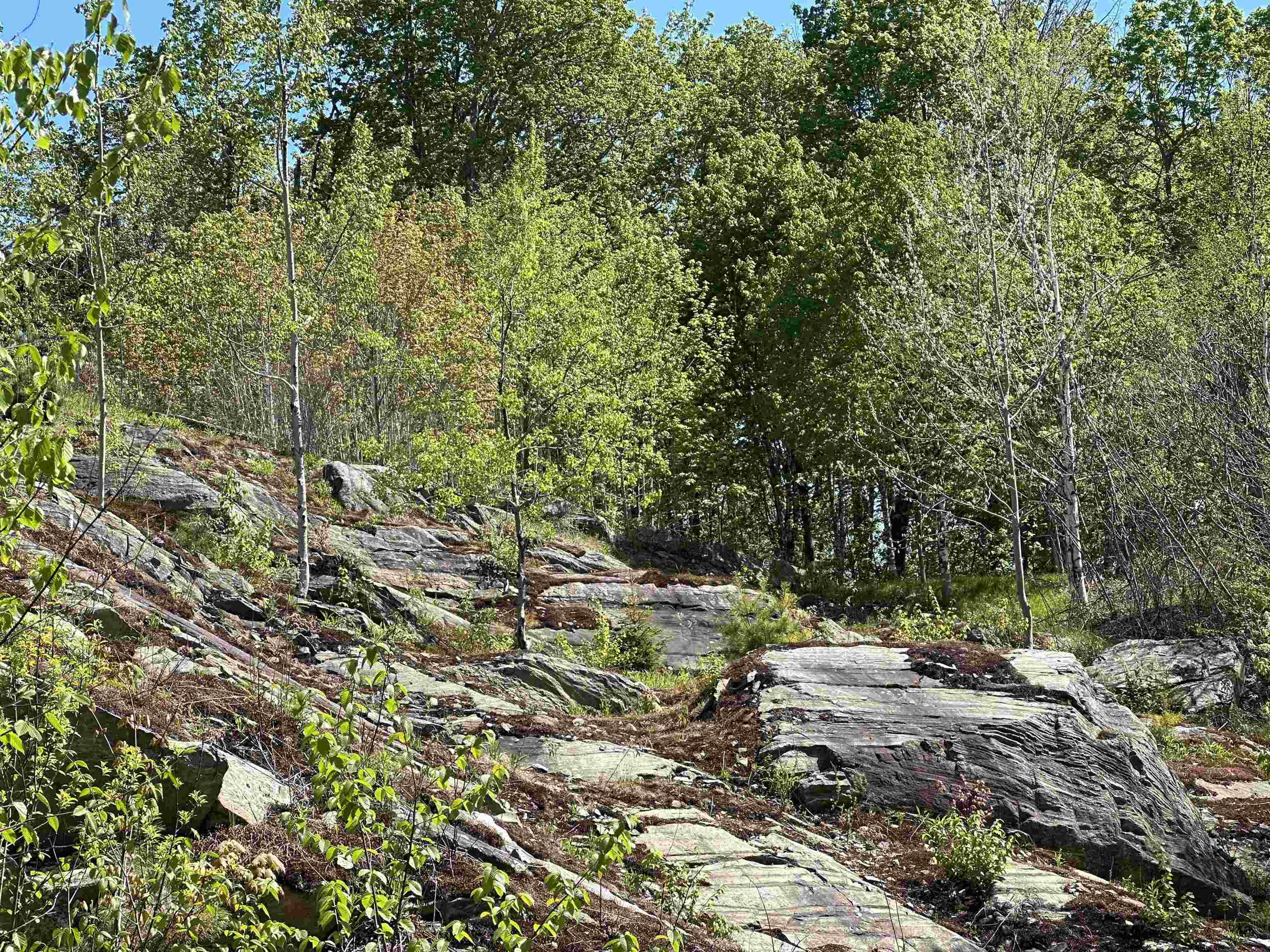 1992 Andover Ridge Road Property Photo 17