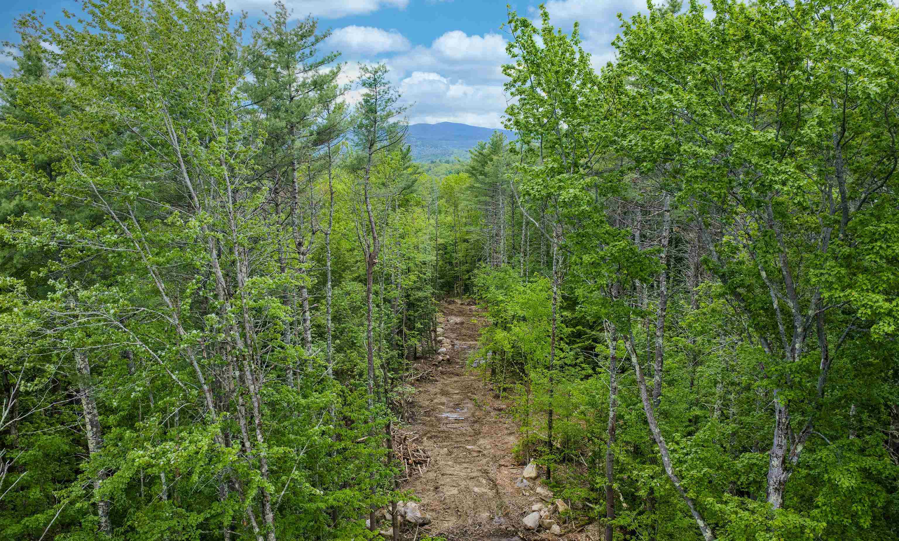Lot 1 Winona Road Property Photo 5