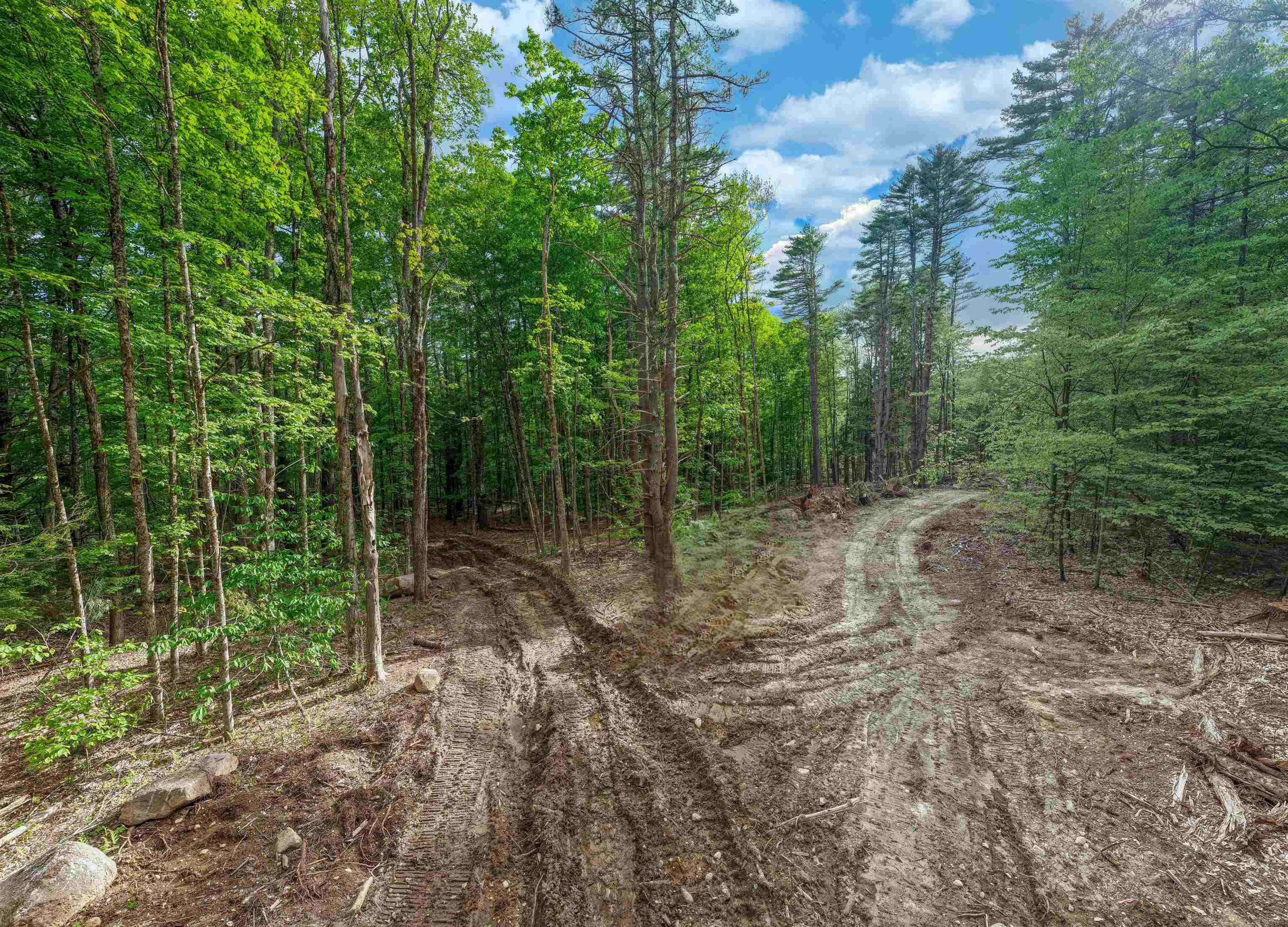 Lot 1 Winona Road Property Photo 8