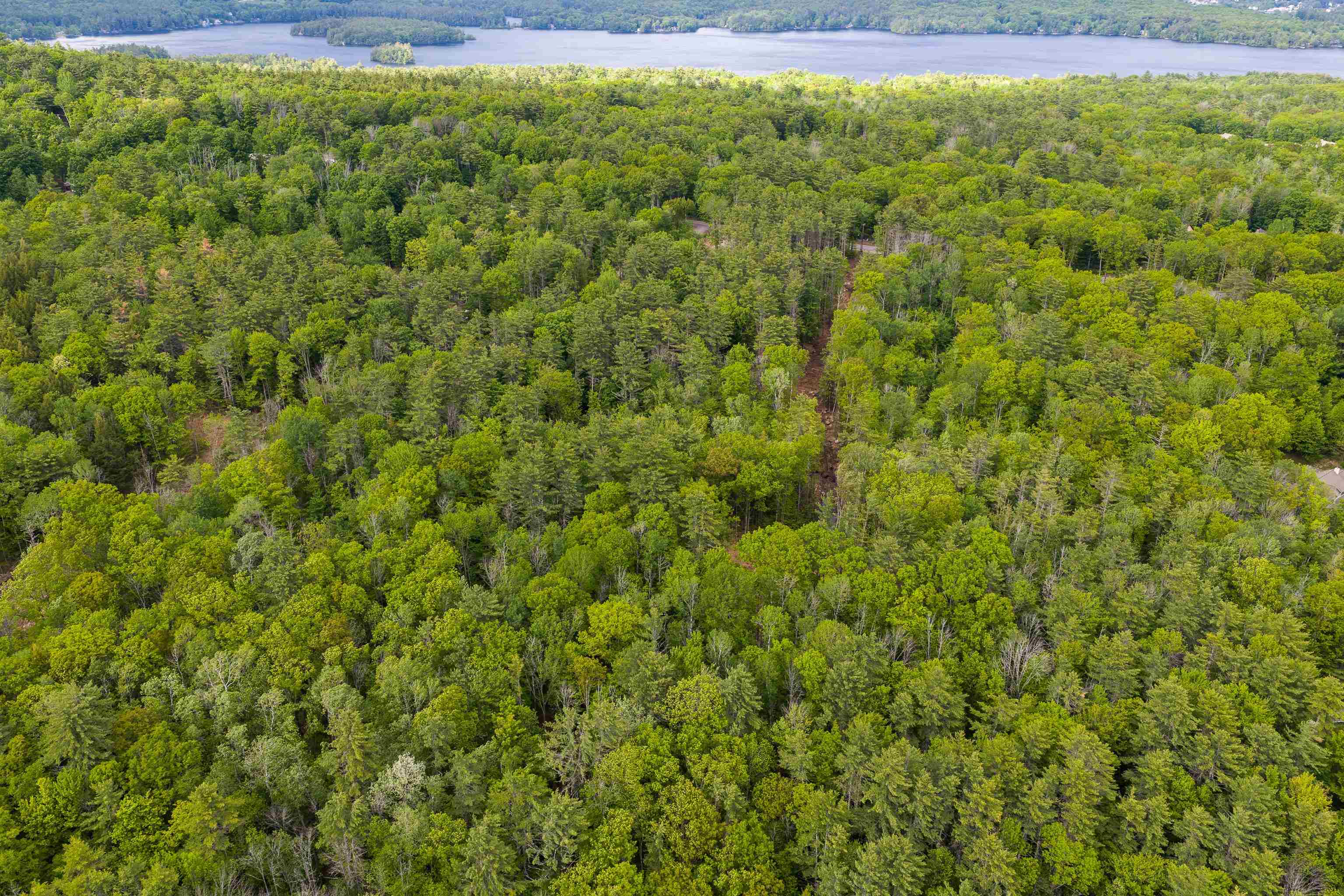Lot 2 Winona Road Property Photo 14