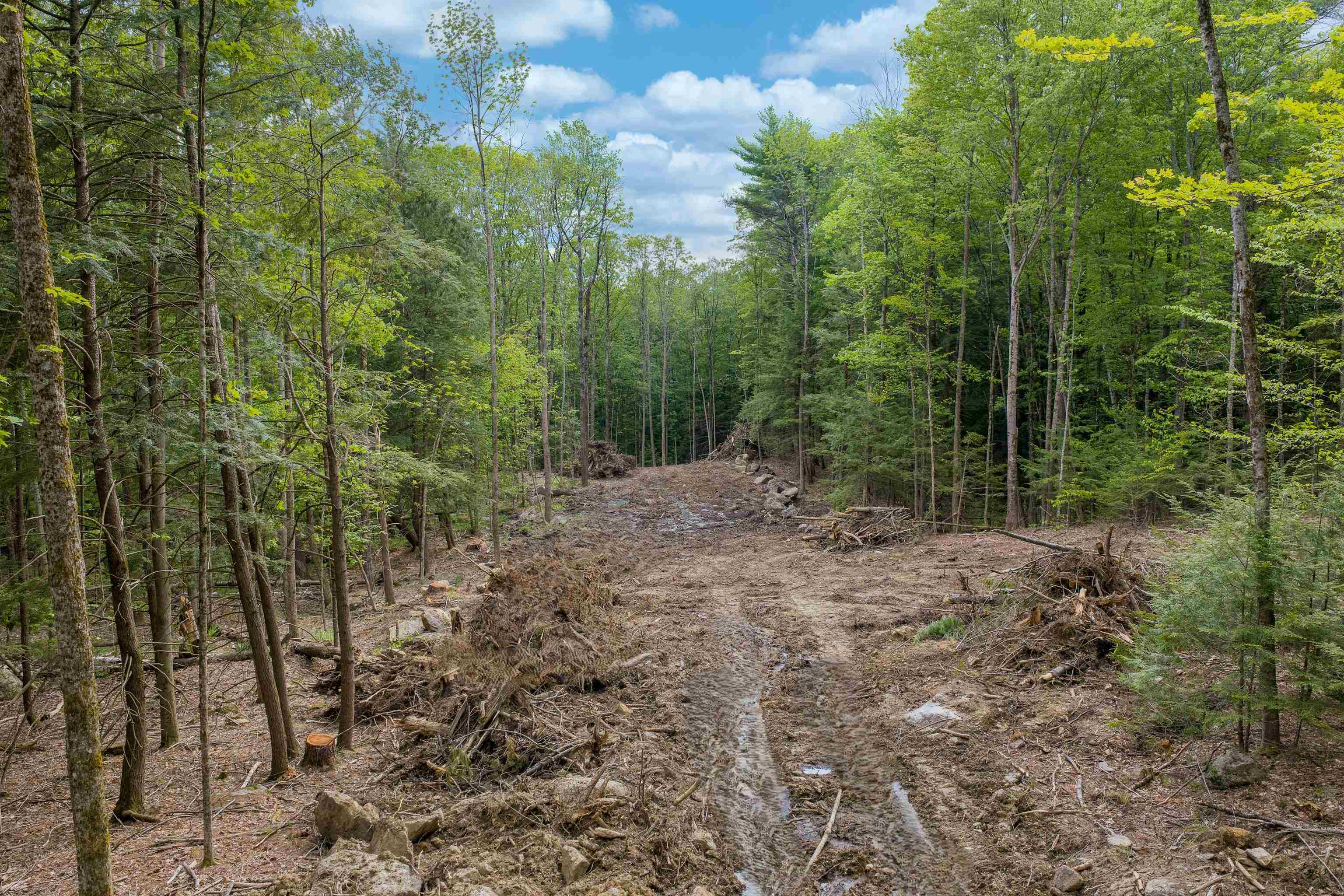 Lot 3 Winona Road Property Photo 6