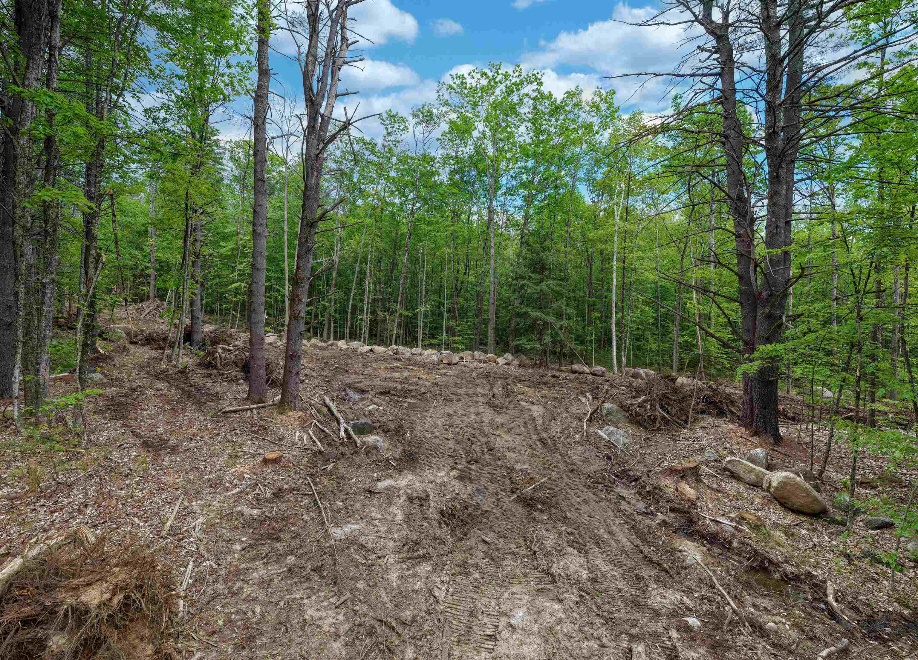 Lot 3 Winona Road Property Photo 9