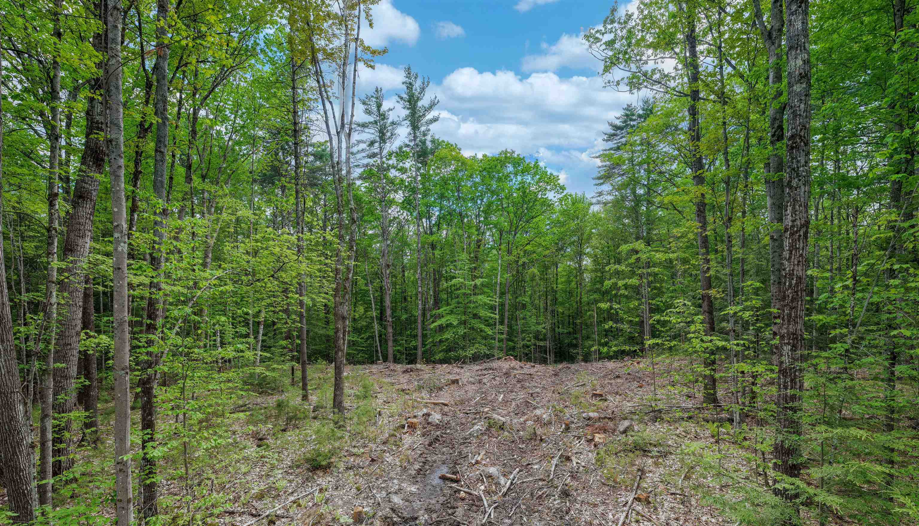 Lot 3 Winona Road Property Photo 16