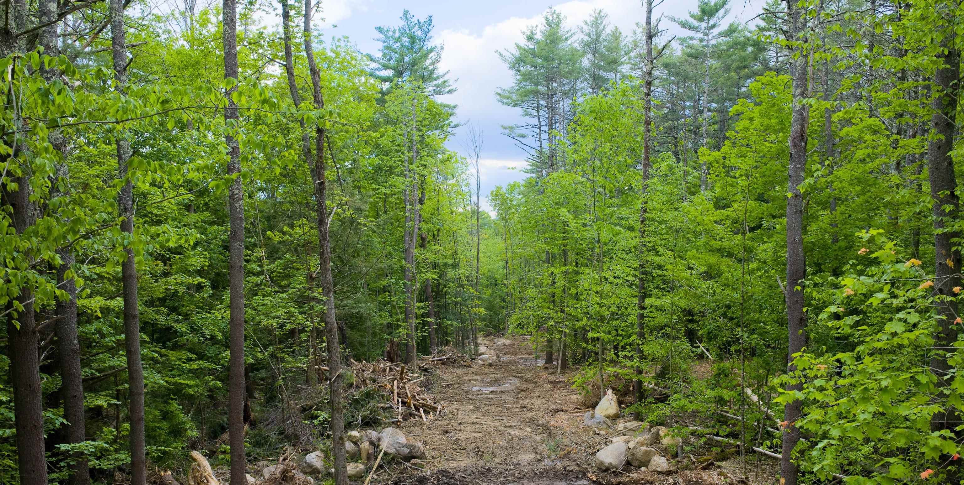 Lot 3 Winona Road Property Photo 17