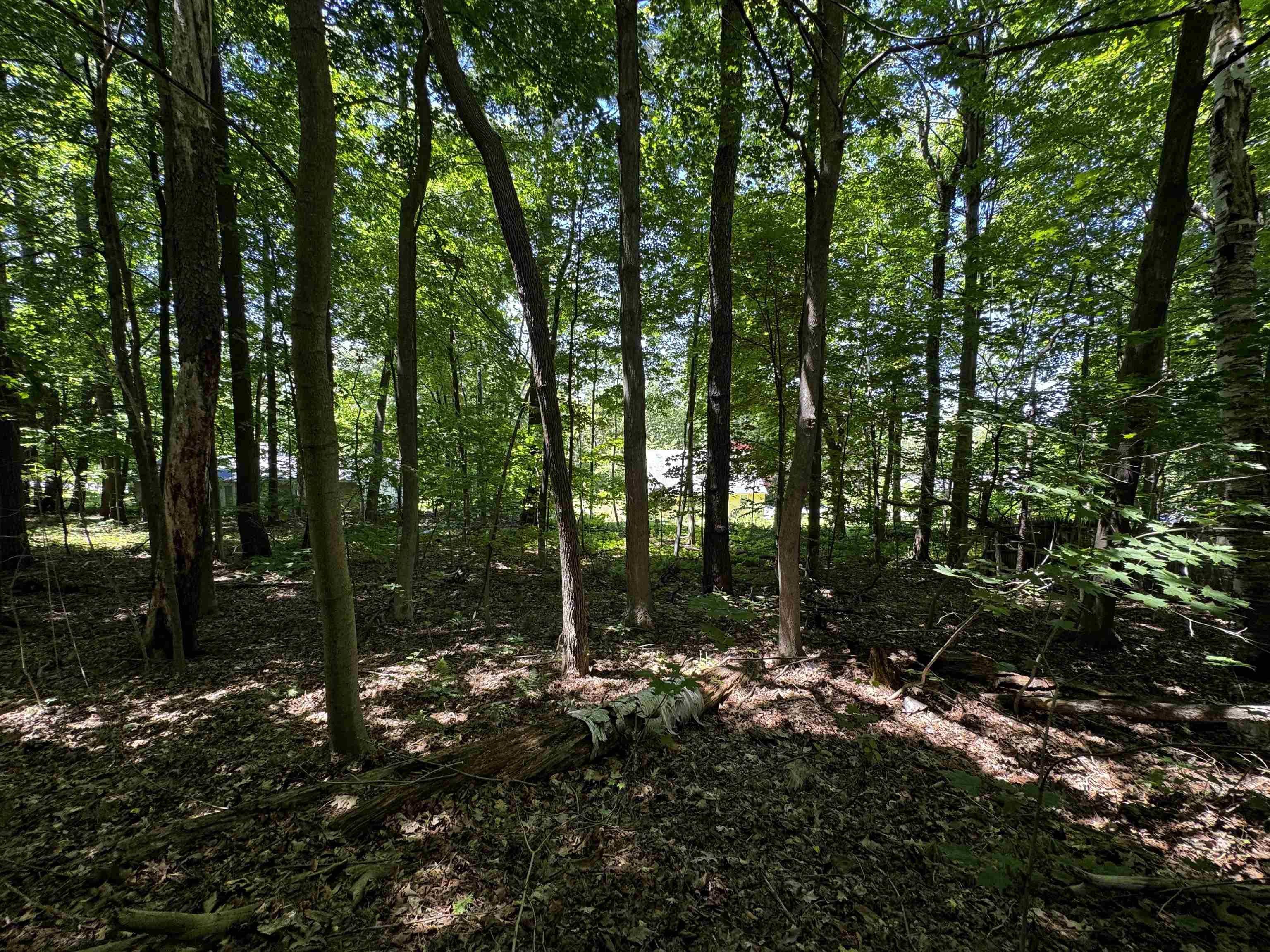 142 Pine Circle Property Photo 13