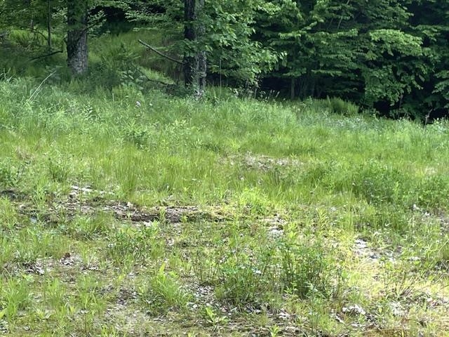 610 South Main Street Property Photo 19