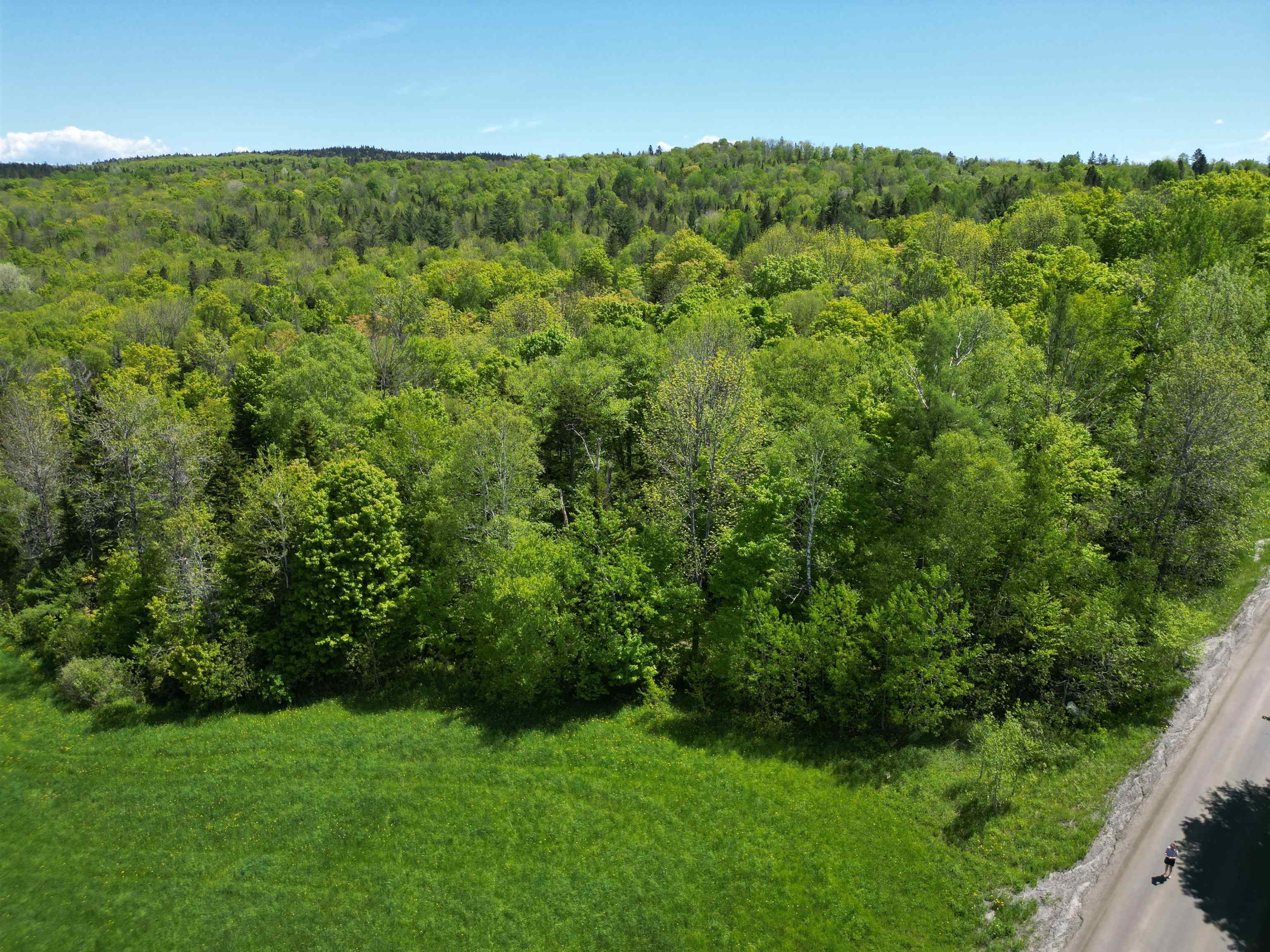 0 Danville Hill Road Property Photo 6