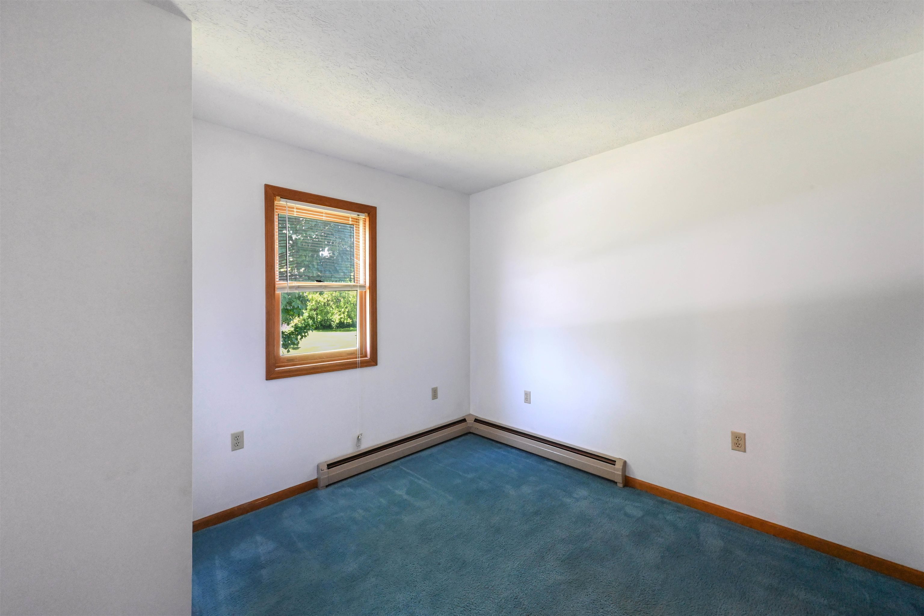 37 Adams Street Property Photo 14