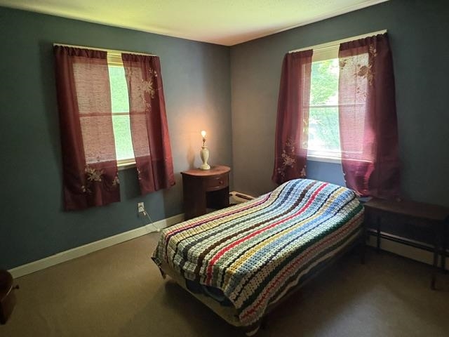 3578 Royalton Turnpike Road Property Photo 16