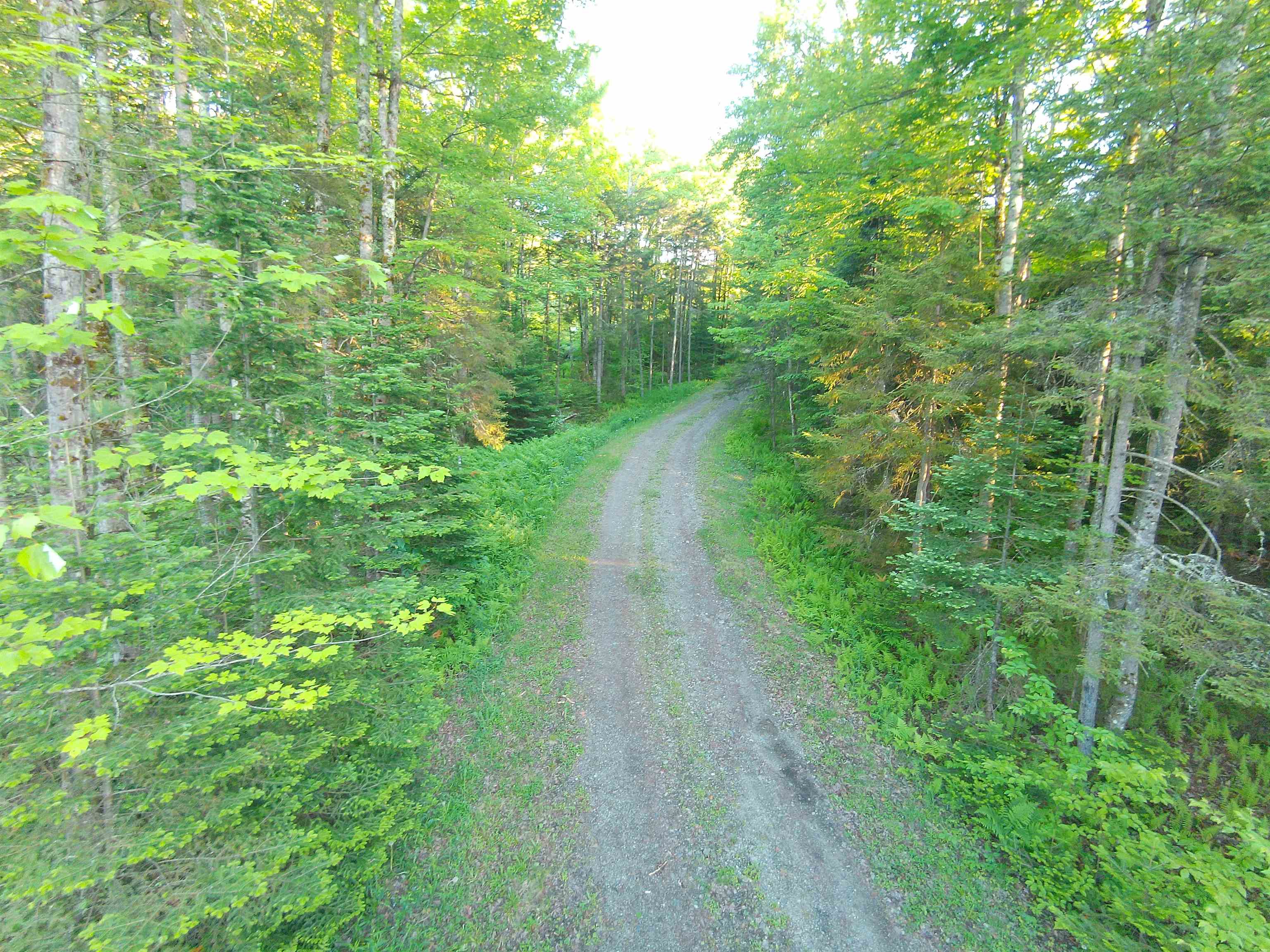 1 Drift Lane Property Photo 7