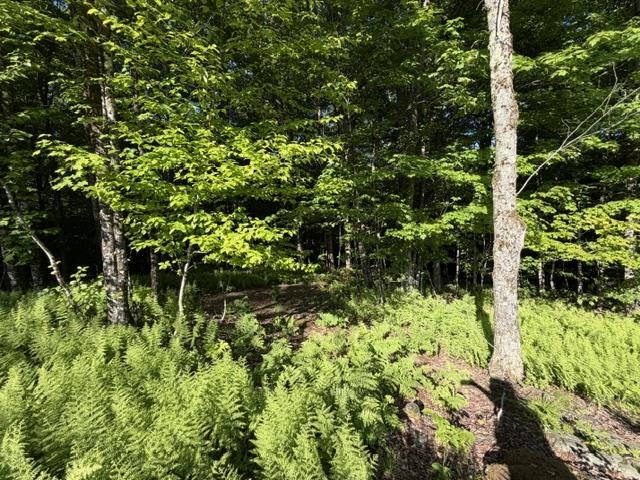 1 Drift Lane Property Photo 14