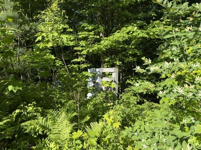 1 Drift Lane Property Photo 15