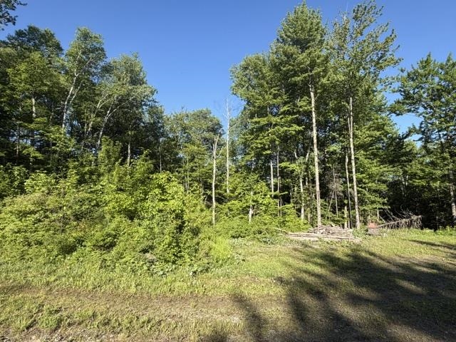 1 Drift Lane Property Photo 16