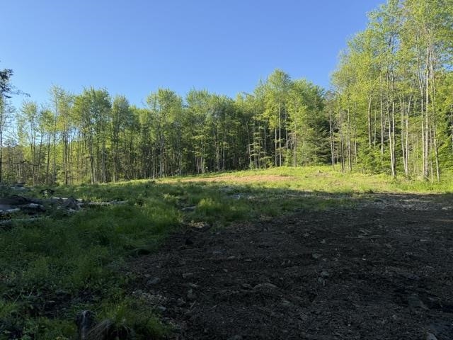1 Drift Lane Property Photo 18