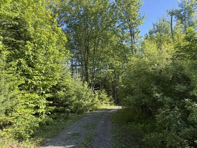 1 Drift Lane Property Photo 19