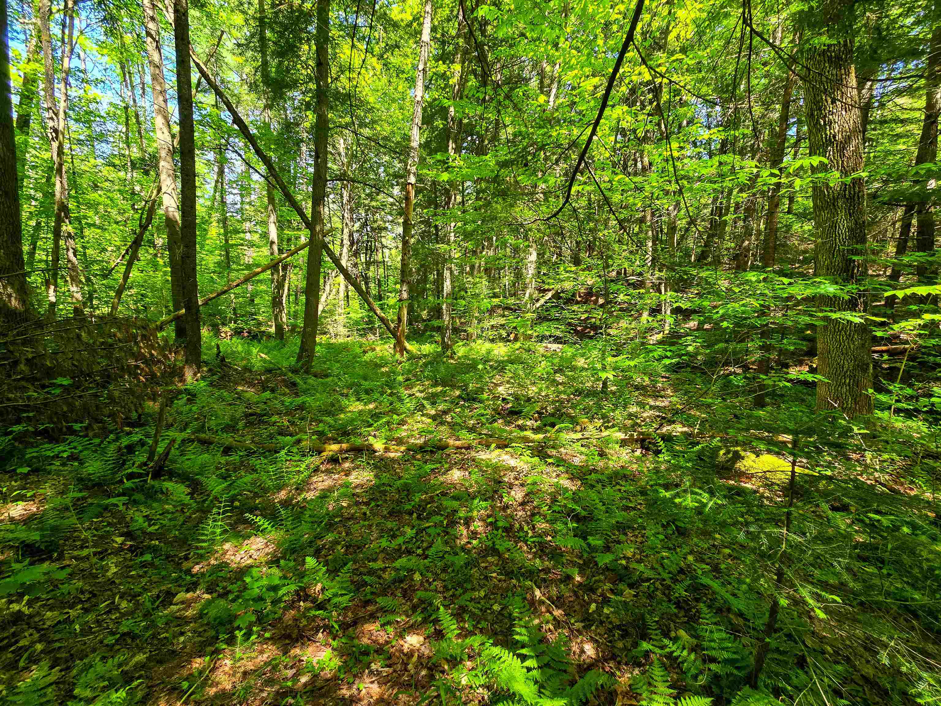 1905 Camp Munn Road Property Photo 5
