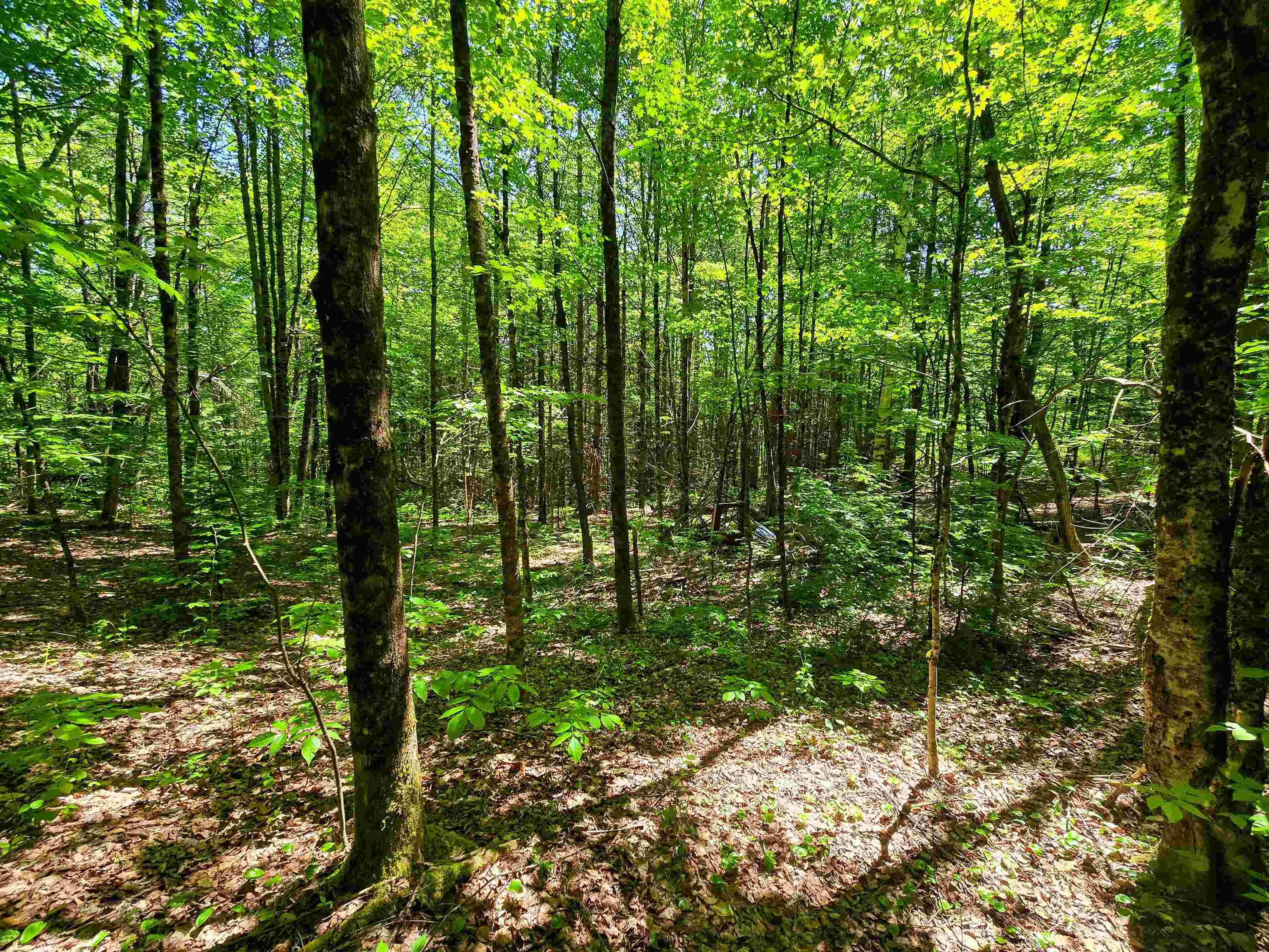 1905 Camp Munn Road Property Photo 6
