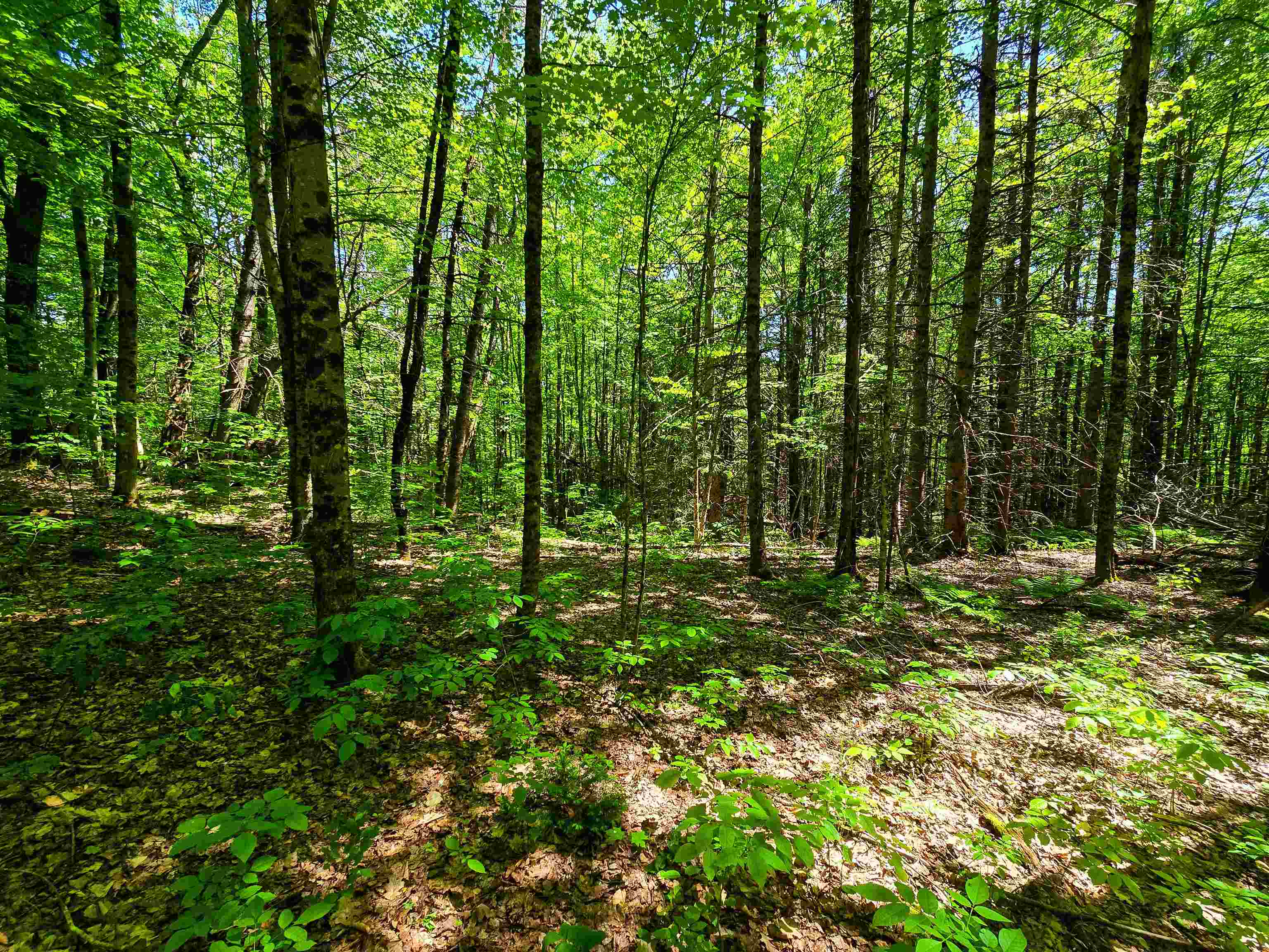1905 Camp Munn Road Property Photo 8