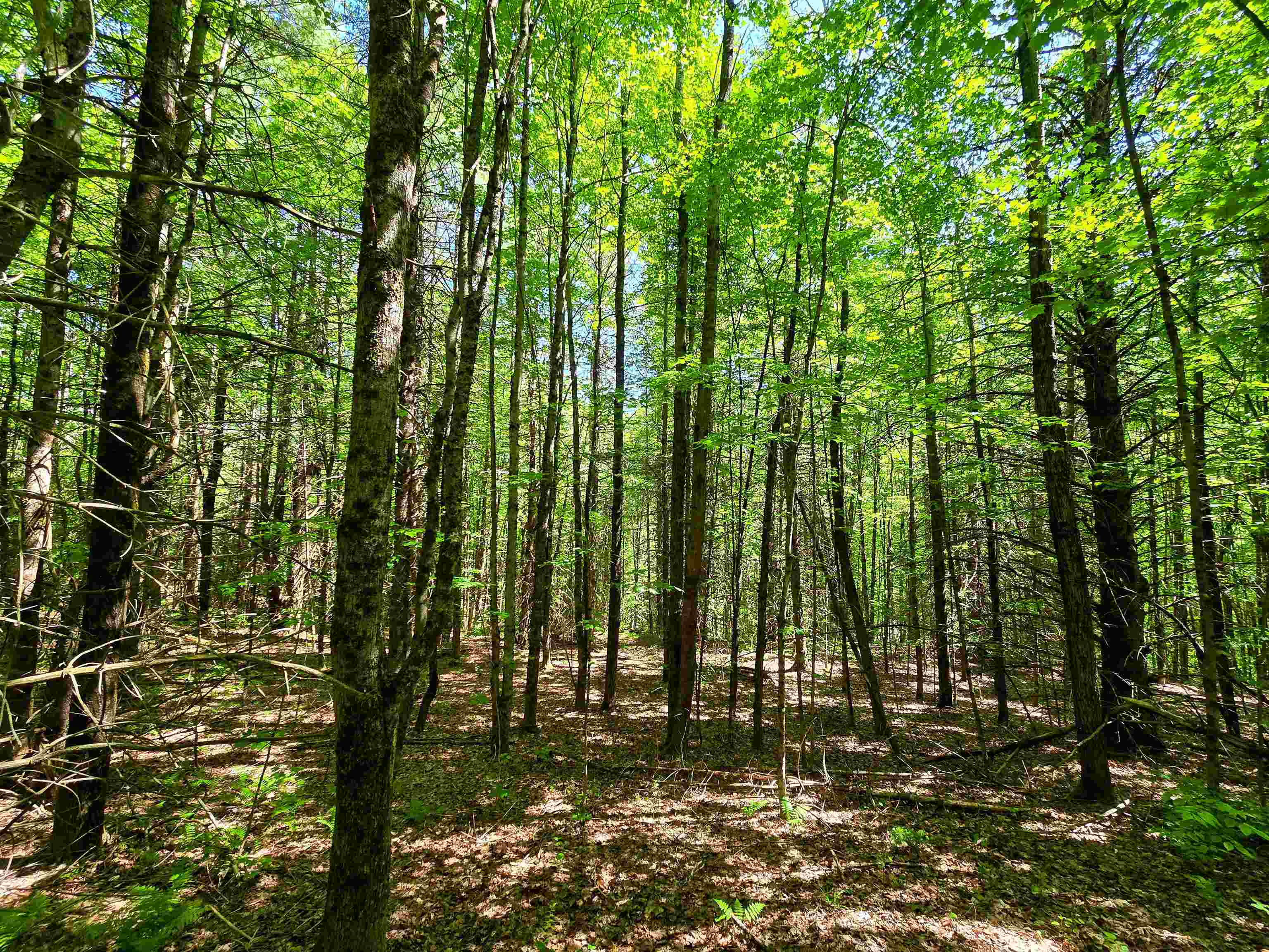 1905 Camp Munn Road Property Photo 9