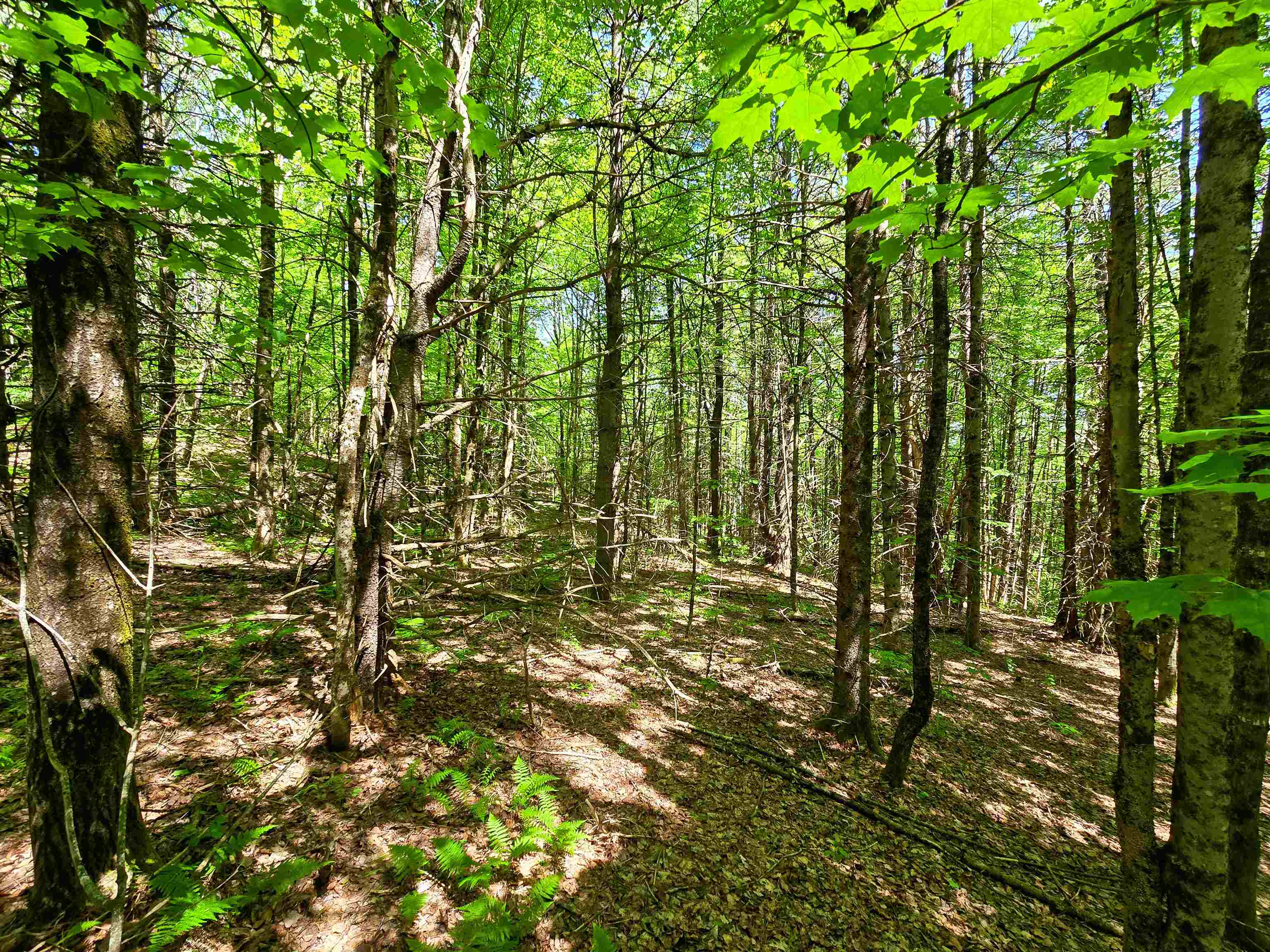 1905 Camp Munn Road Property Photo 10