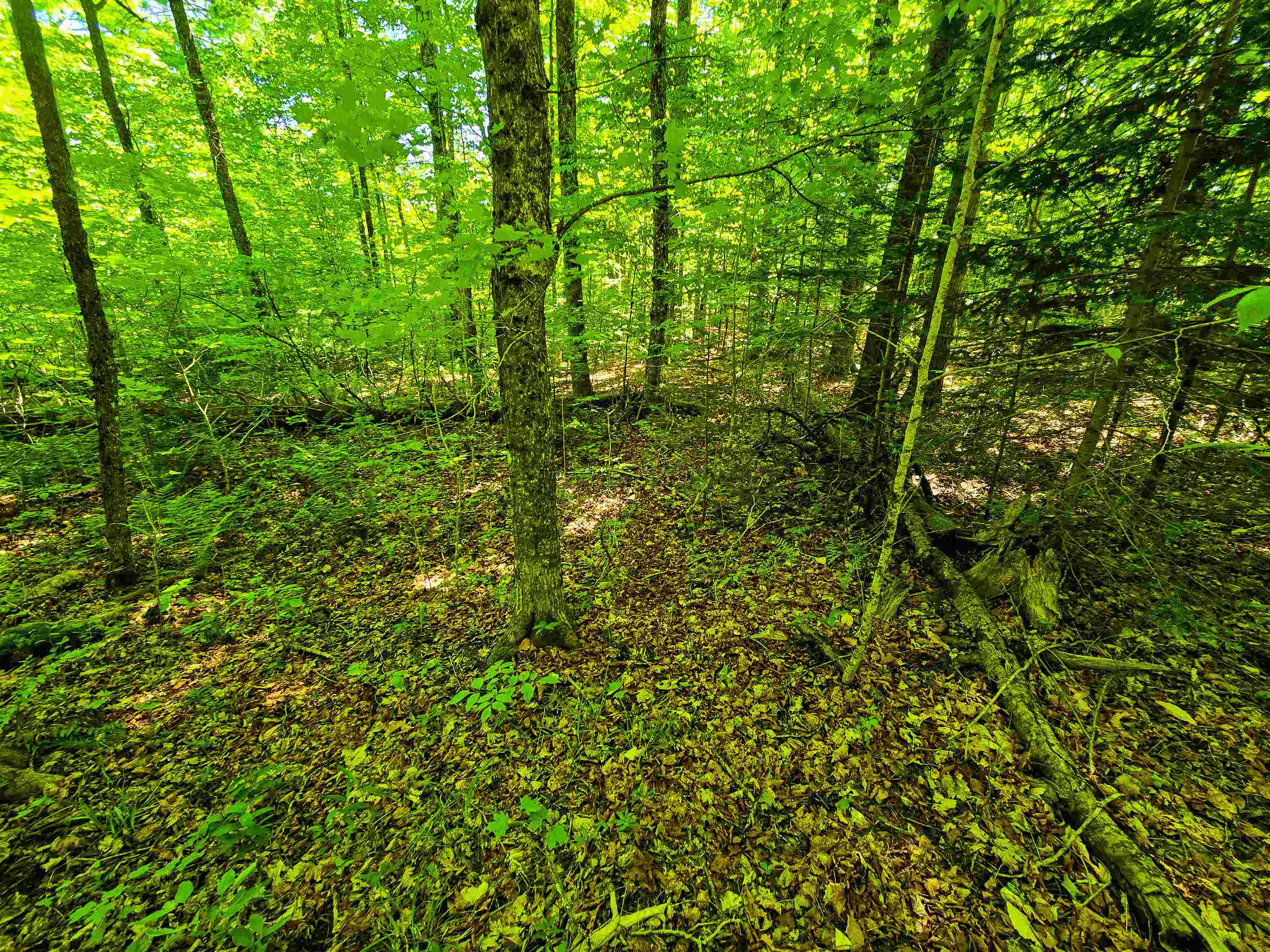 1905 Camp Munn Road Property Photo 11