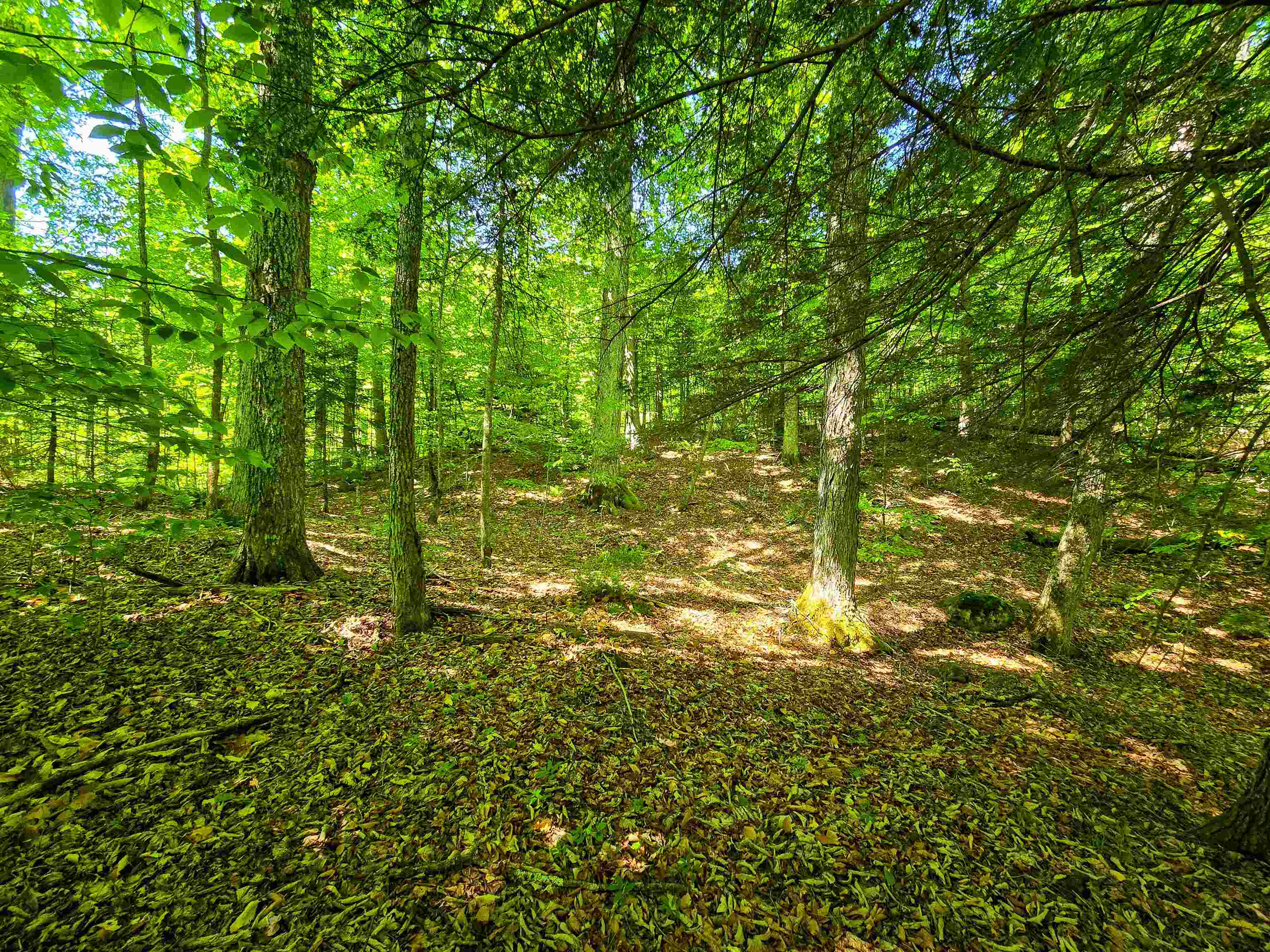 1905 Camp Munn Road Property Photo 12