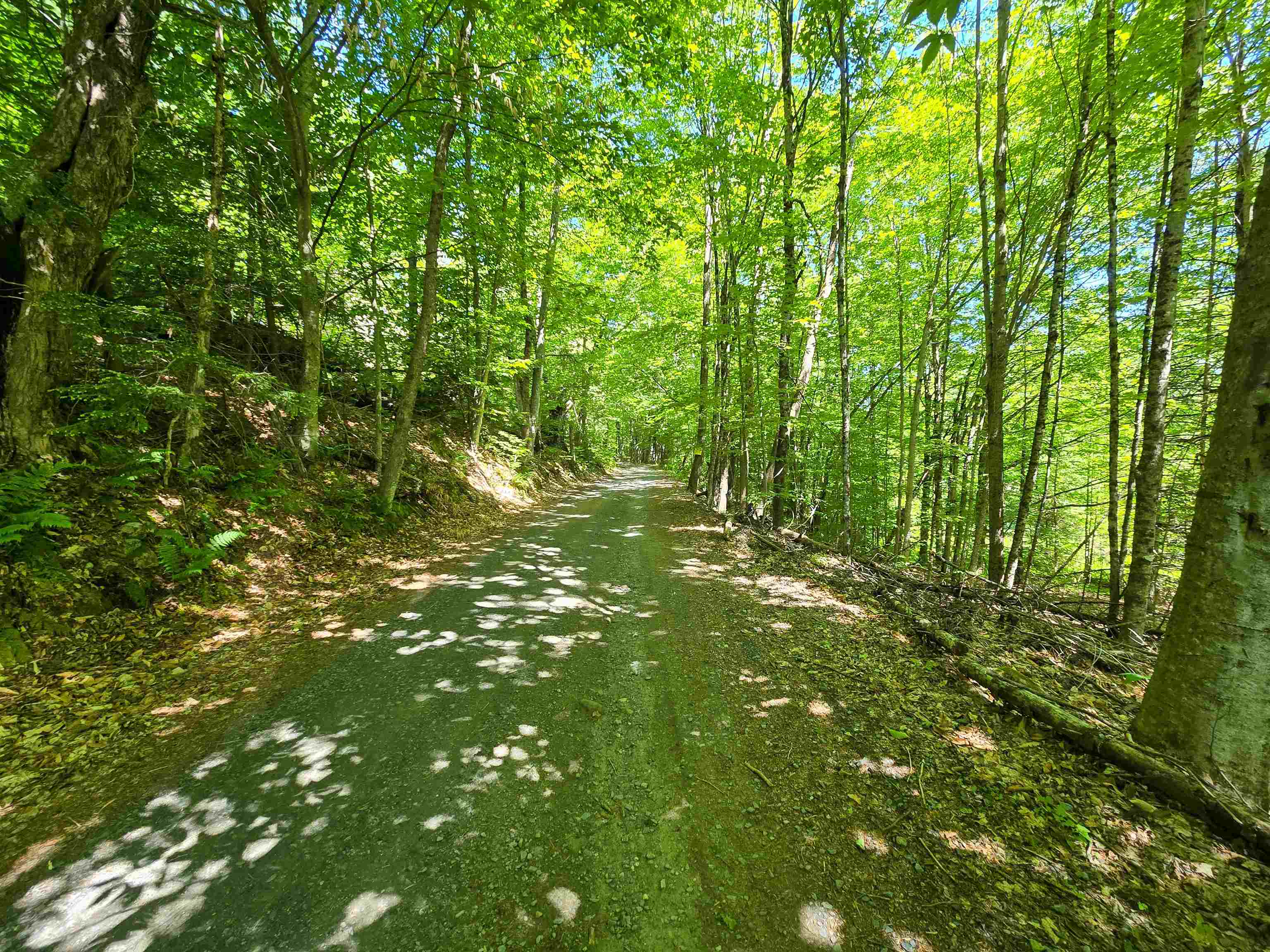 1905 Camp Munn Road Property Photo 13