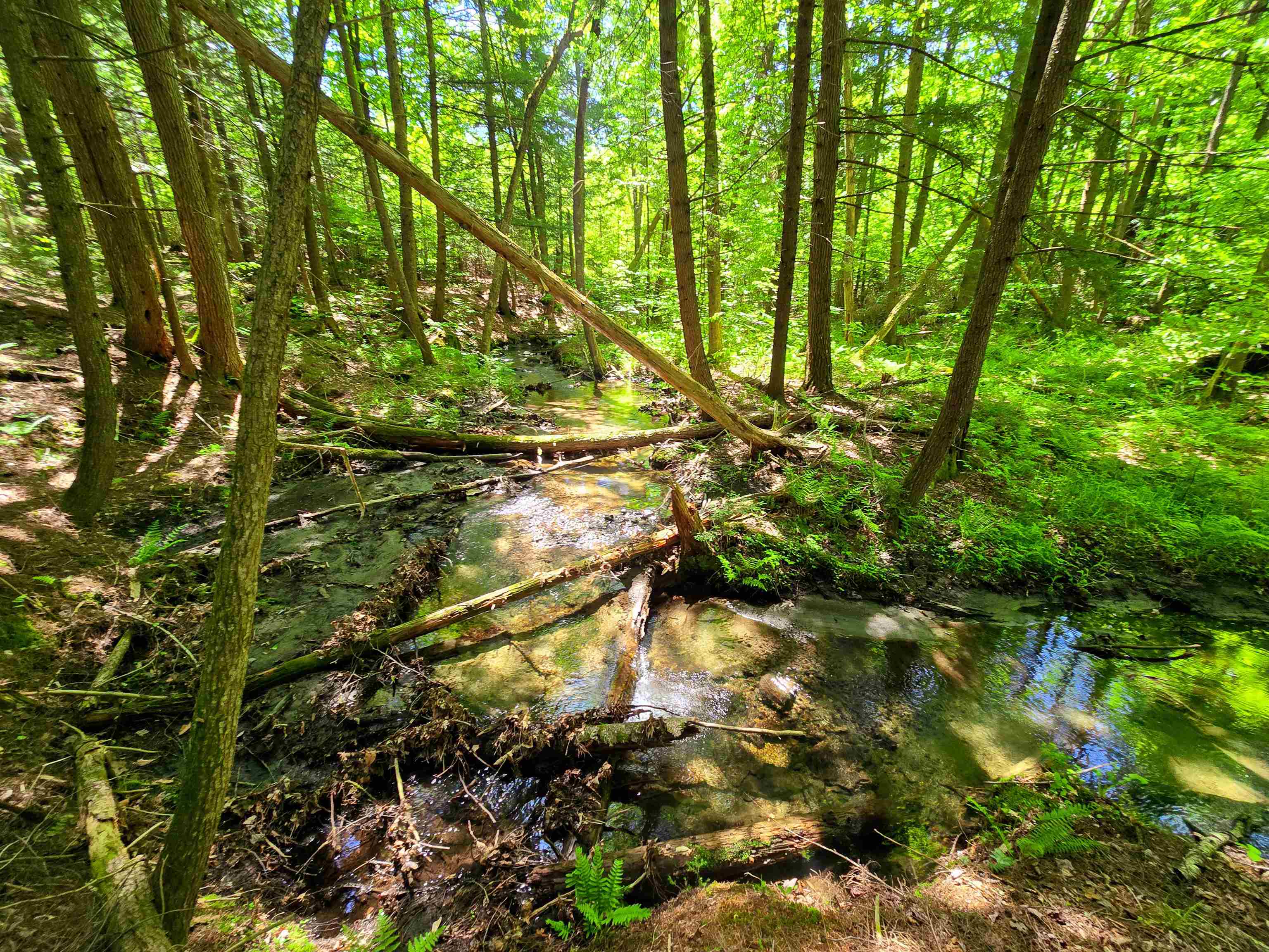 1905 Camp Munn Road Property Photo 17