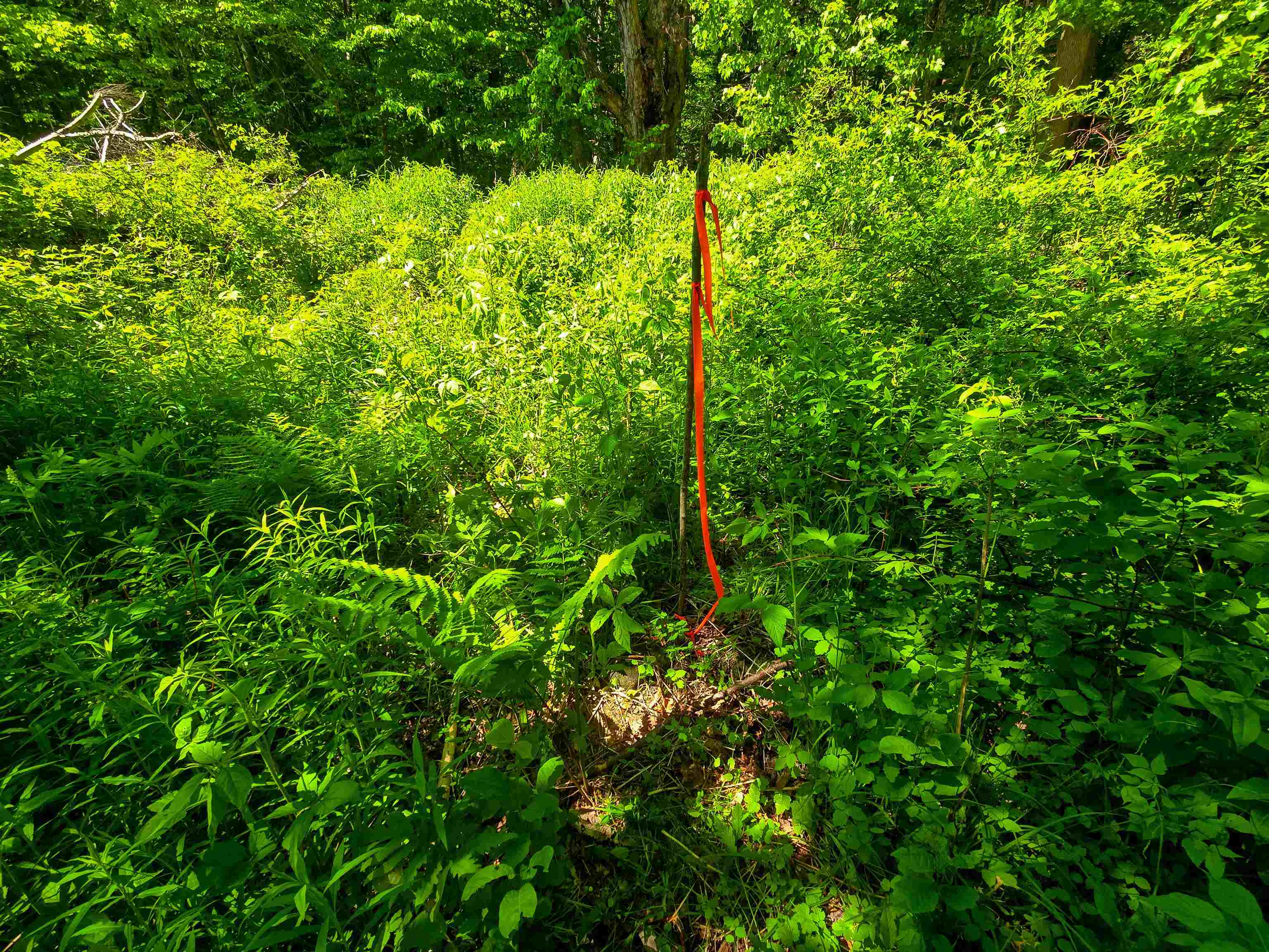 1905 Camp Munn Road Property Photo 18