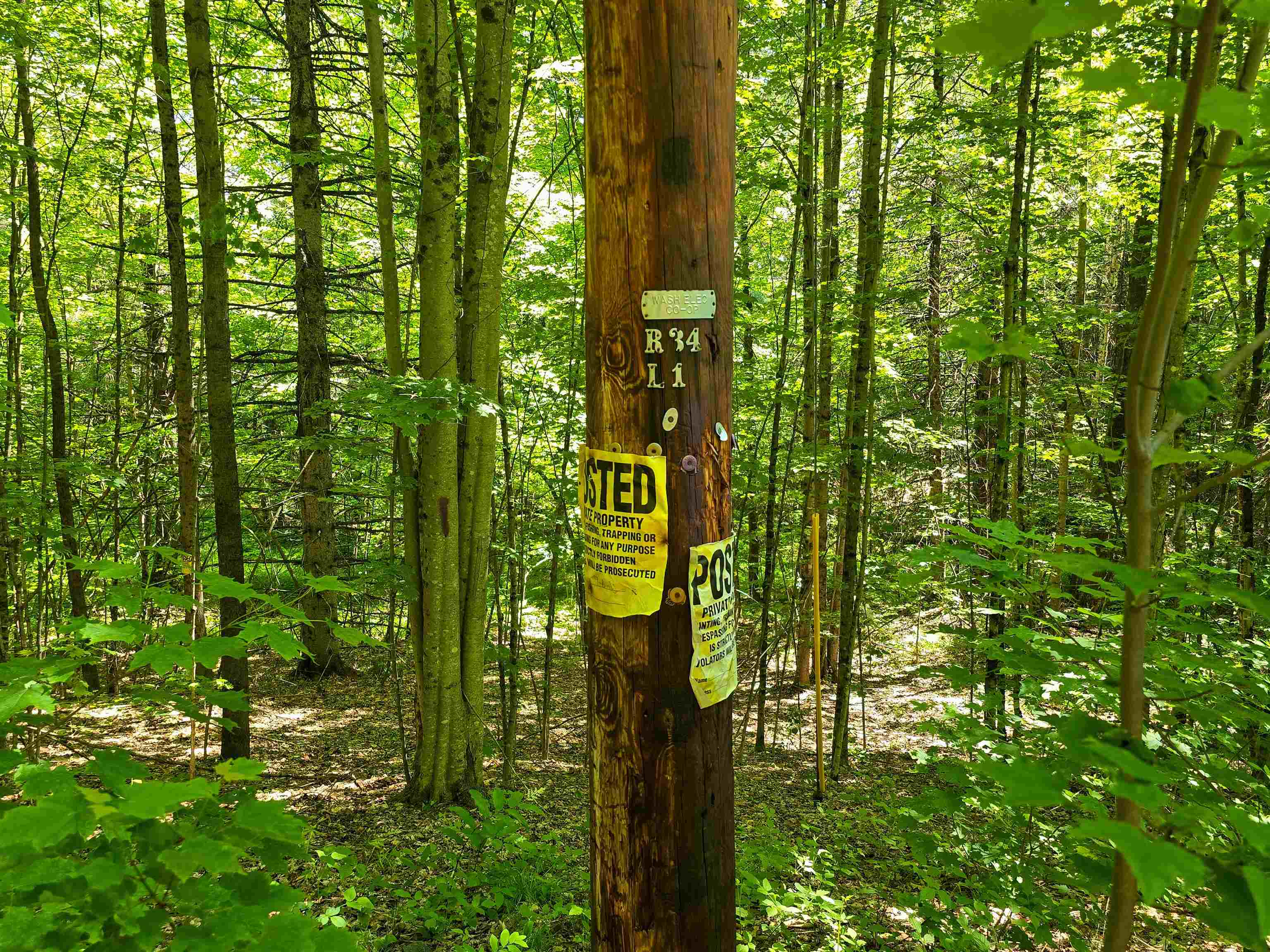 1905 Camp Munn Road Property Photo 20