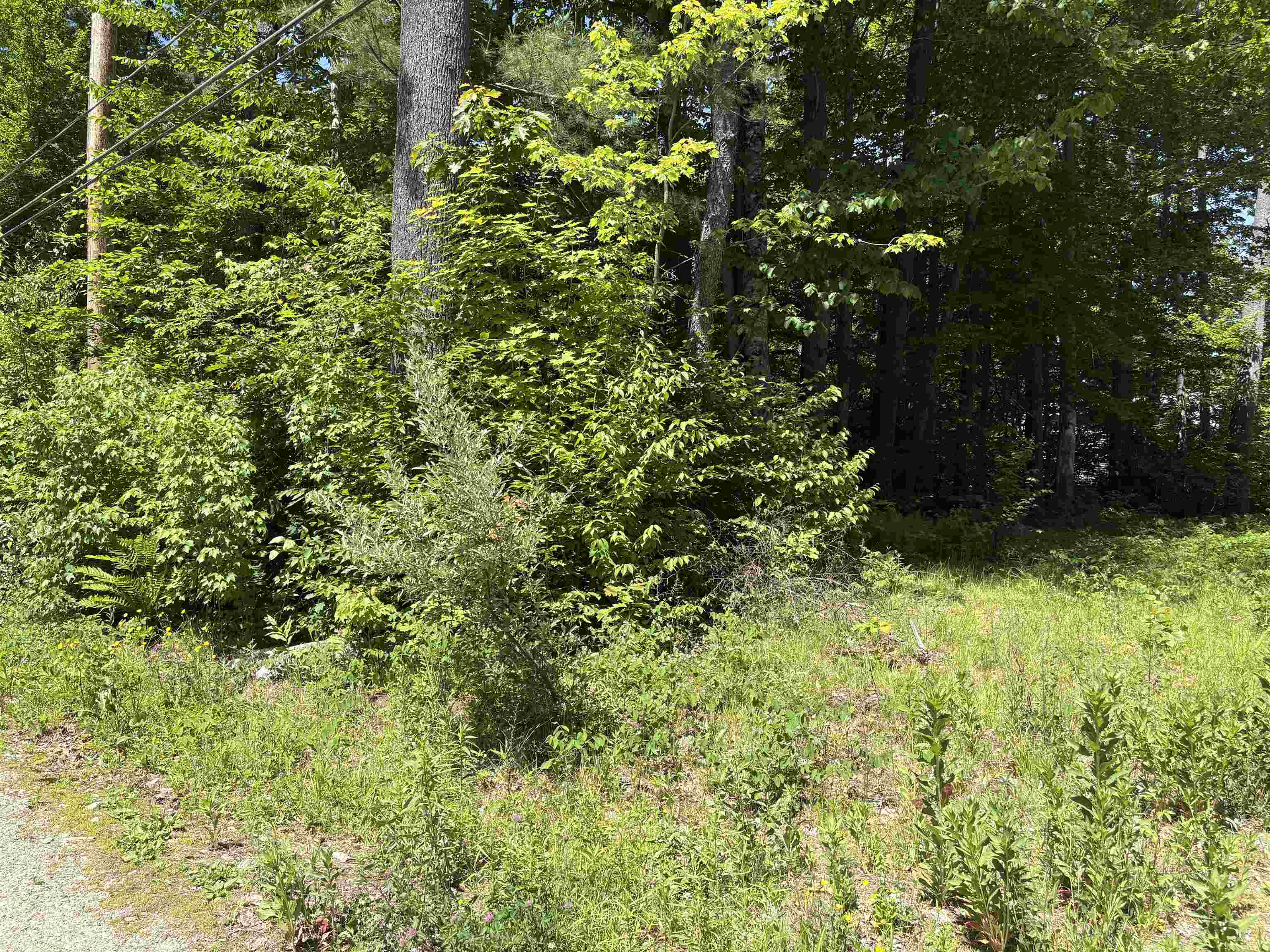 Lot 608 Rabbit Path Property Photo 1