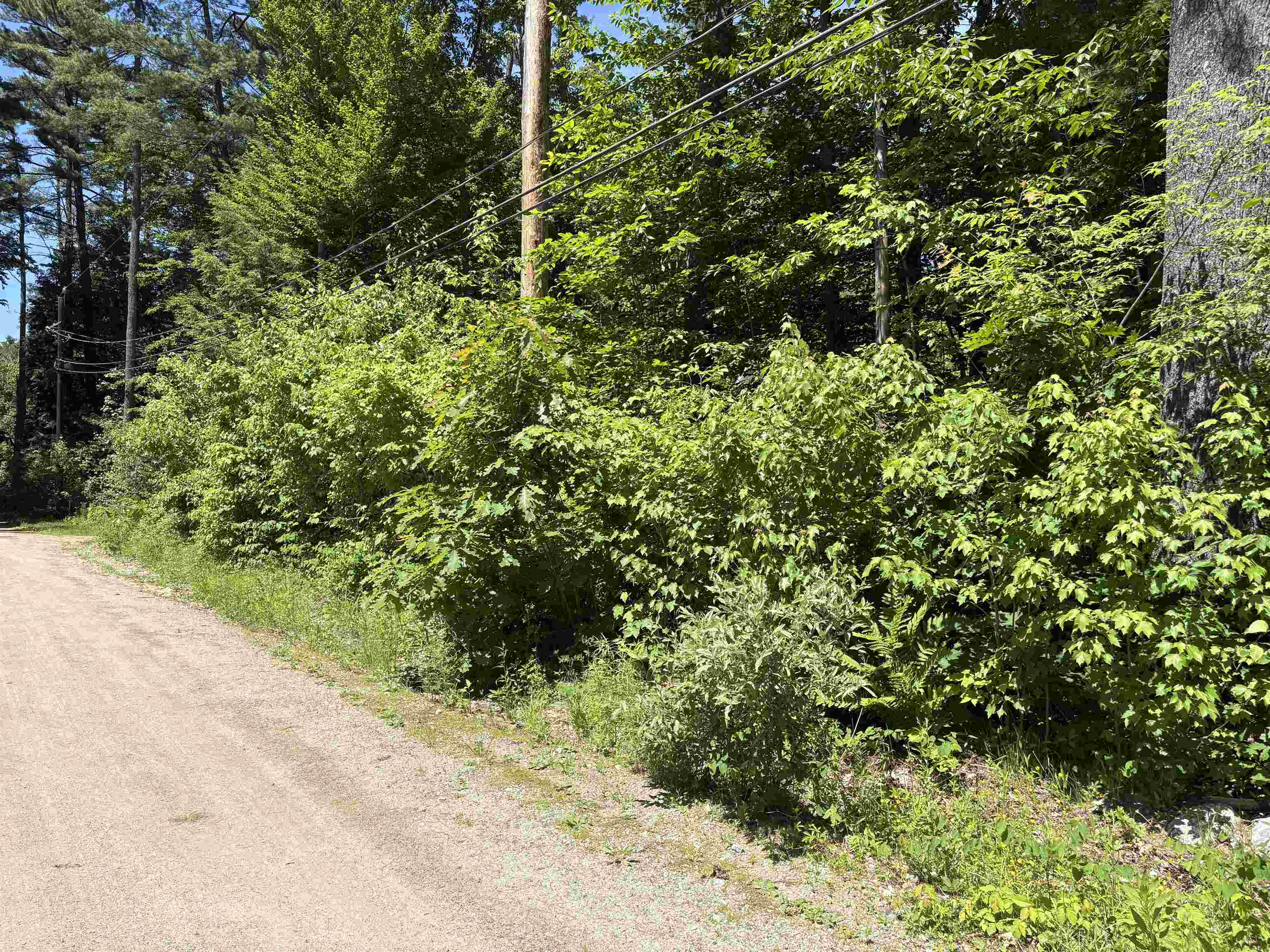 Lot 608 Rabbit Path Property Photo 2