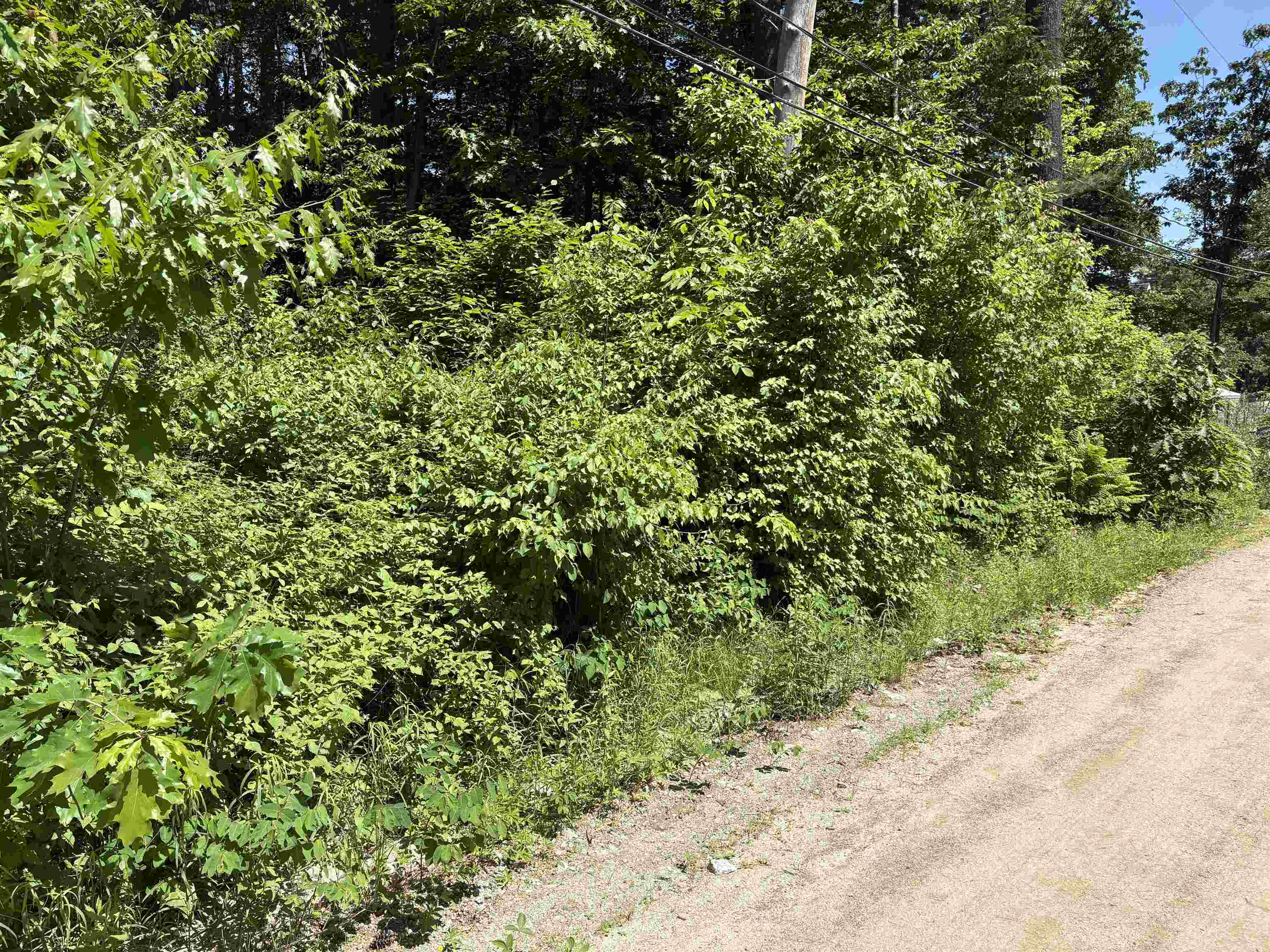 Lot 608 Rabbit Path Property Photo 4