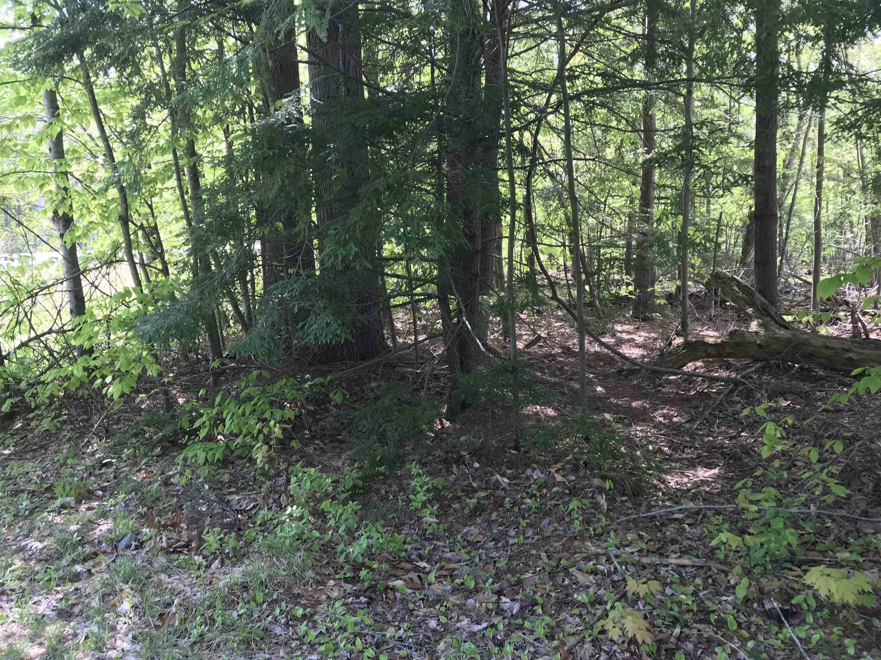 420-11 Route 9 Highway Property Photo 5