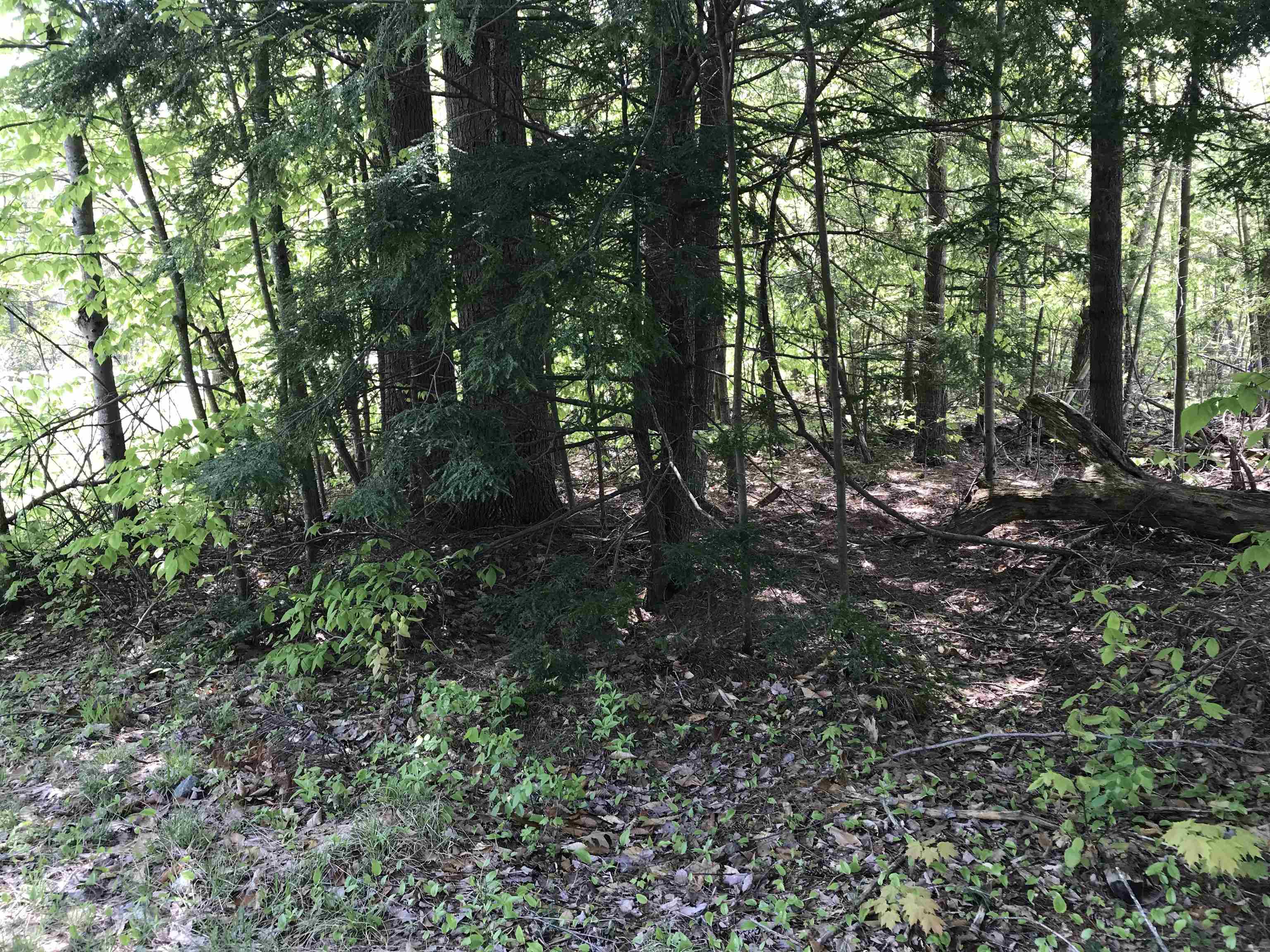 420-11 Route 9 Highway Property Photo 6
