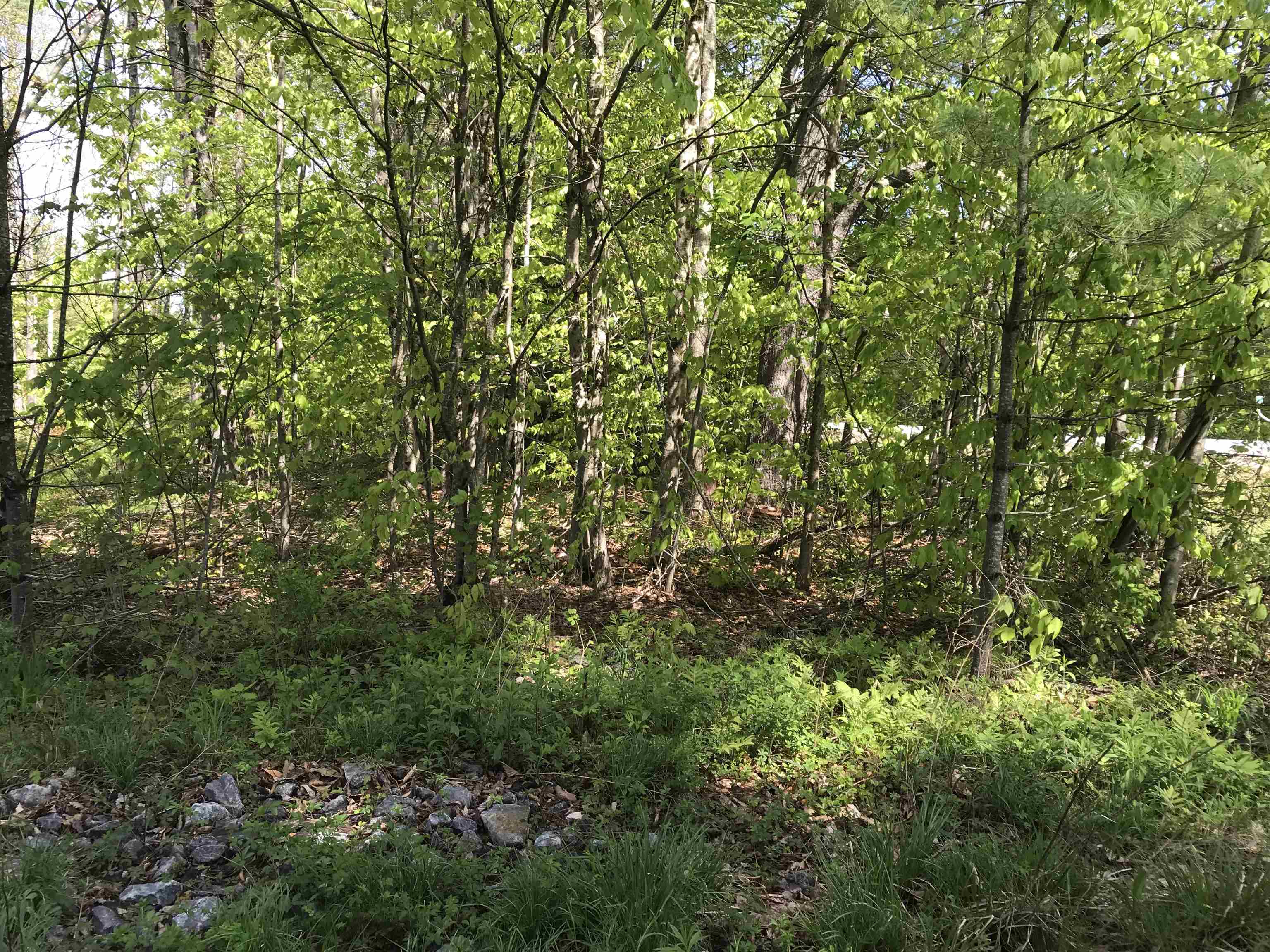 420-11 Route 9 Highway Property Photo 7