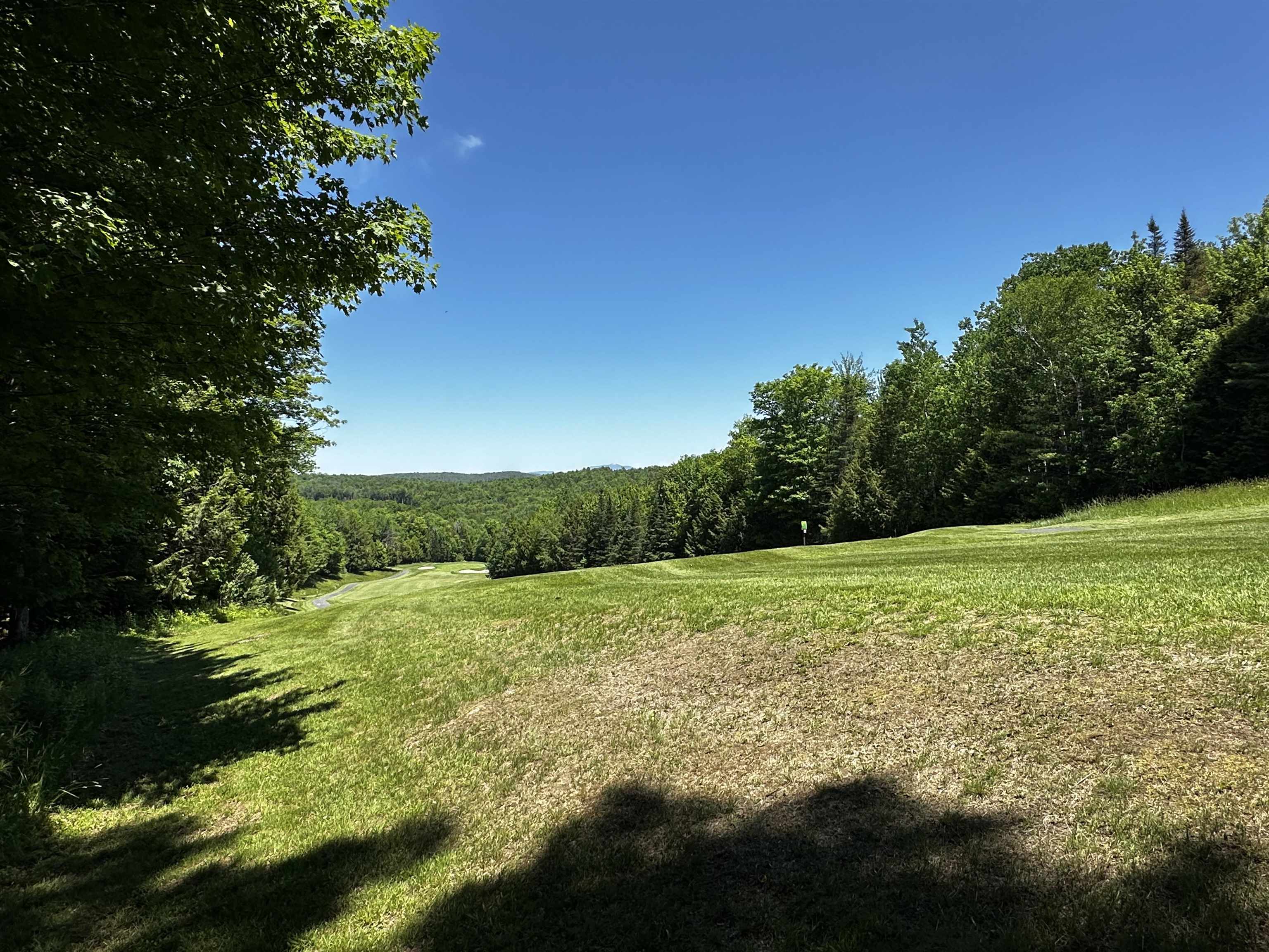 78 Greensward Drive Property Photo 11