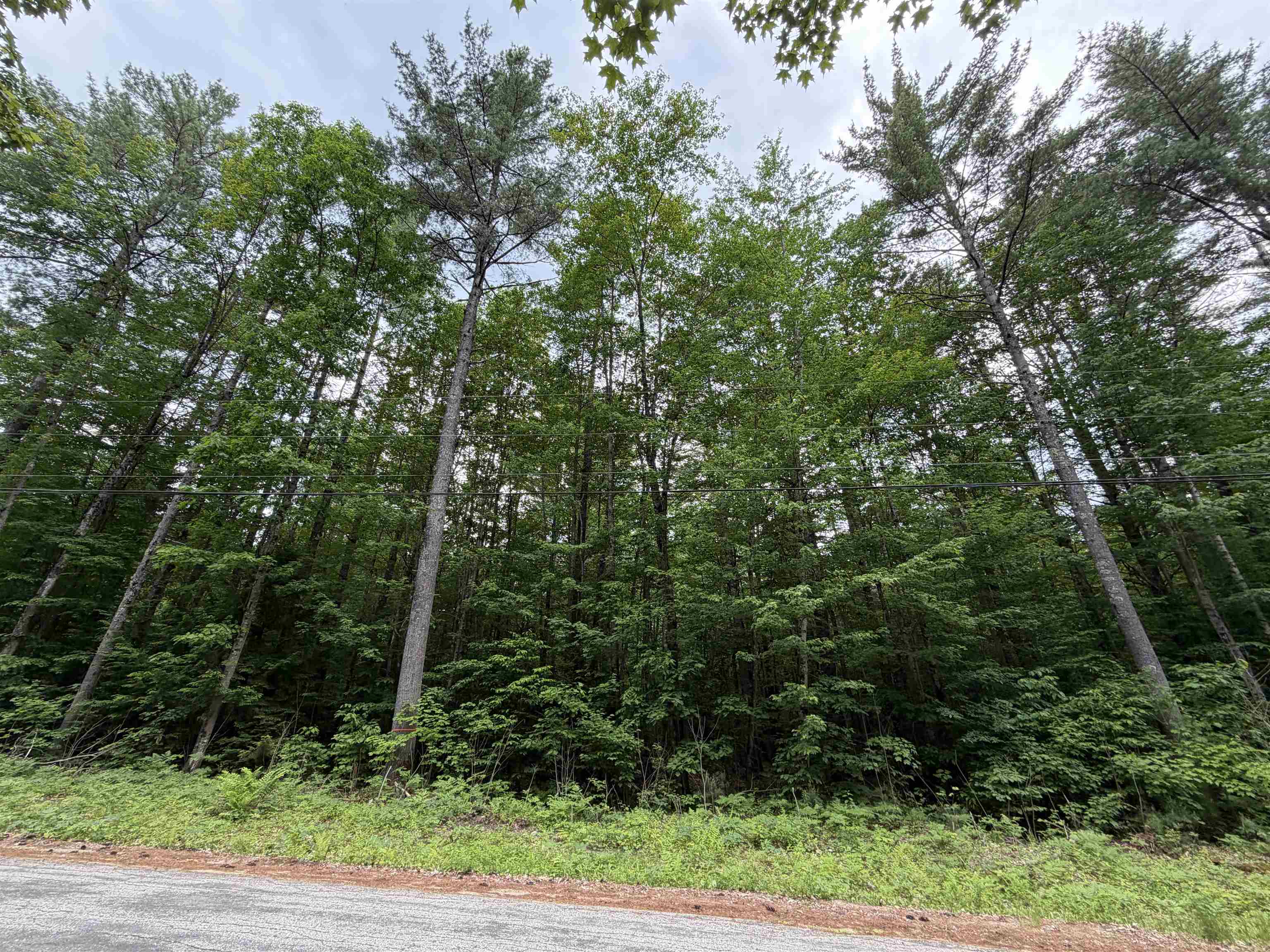 00 Rolling Ridge Road Property Photo 1