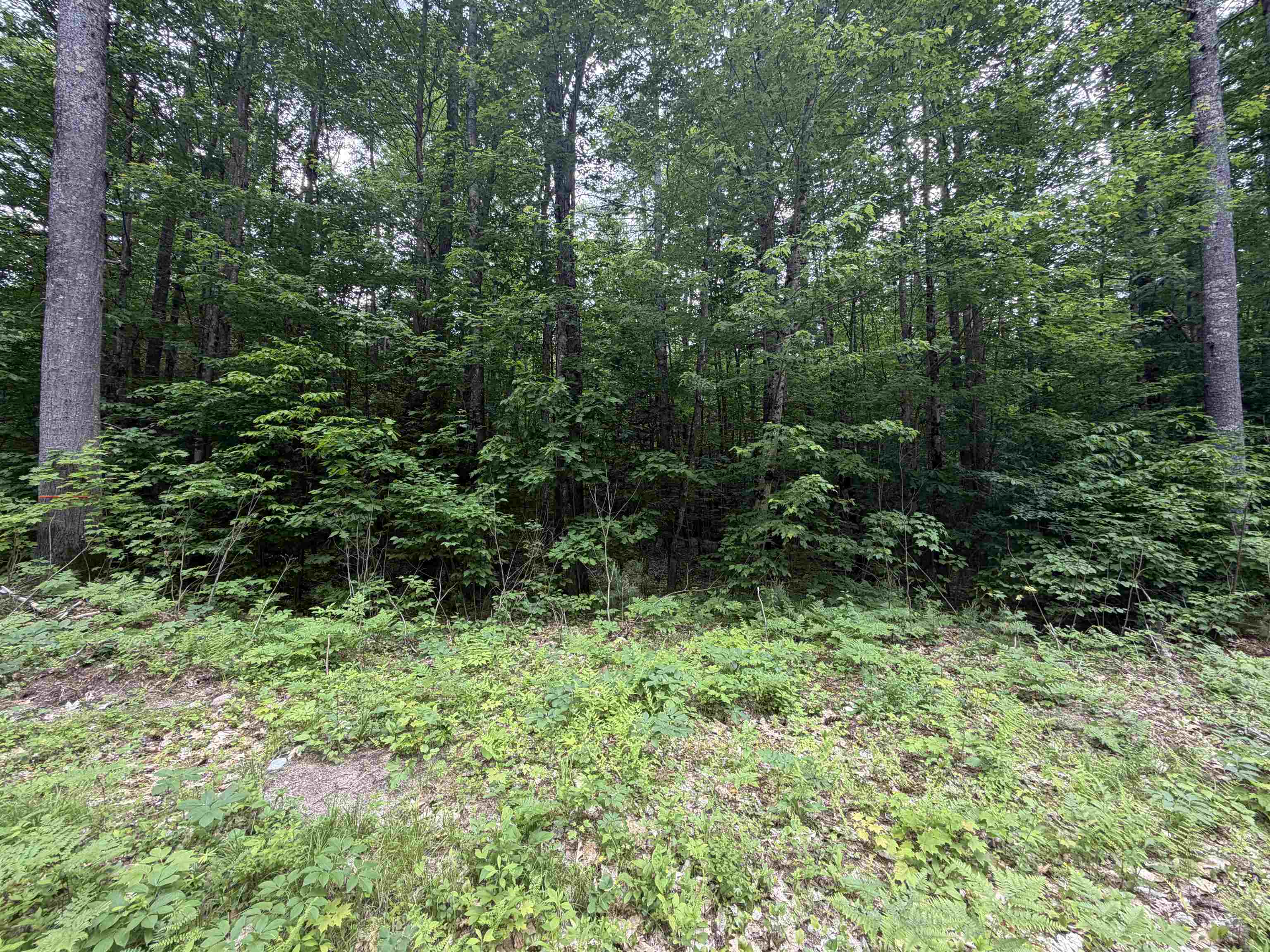 00 Rolling Ridge Road Property Photo 6