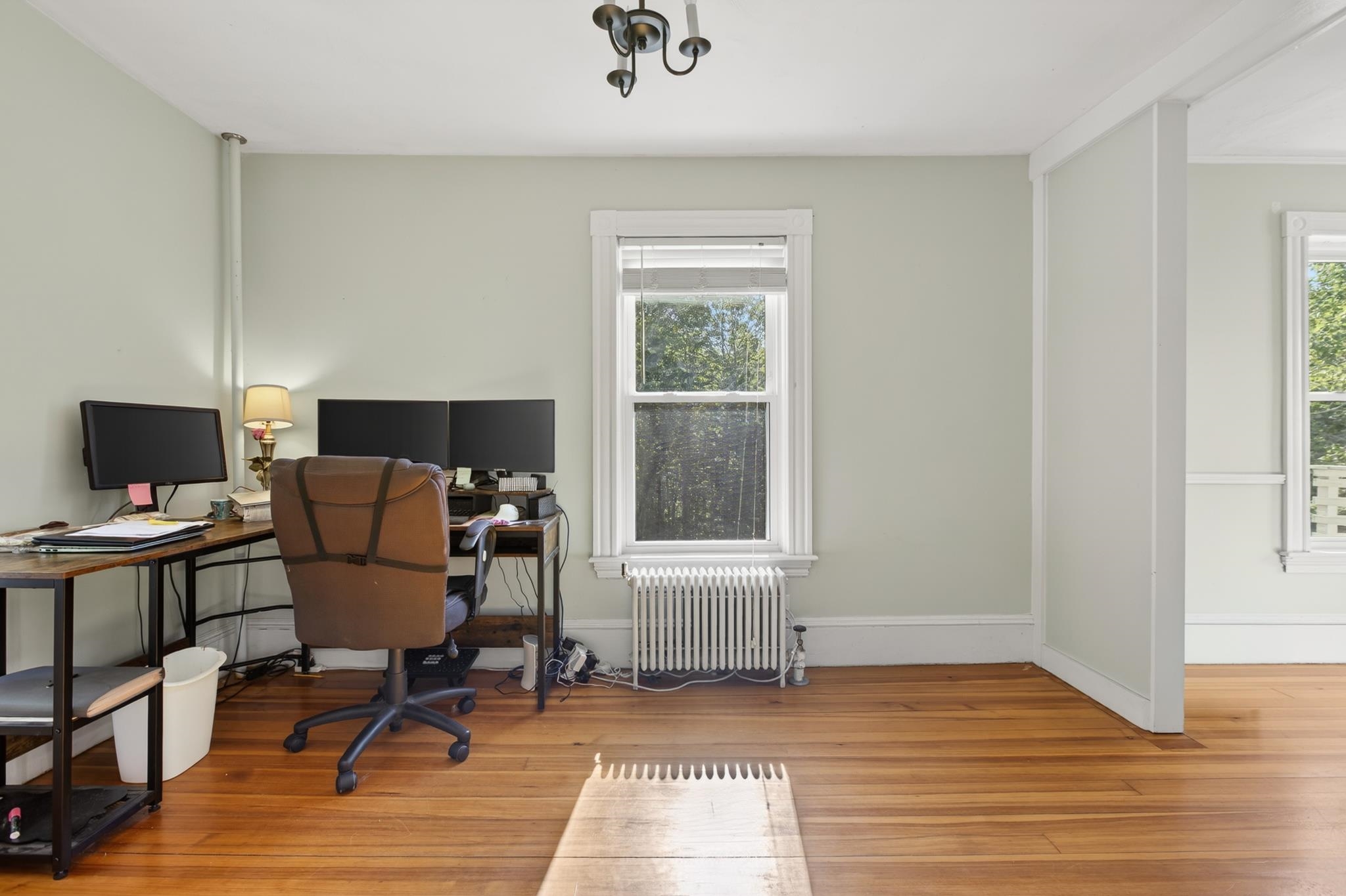 17 Forest Road Property Photo 14