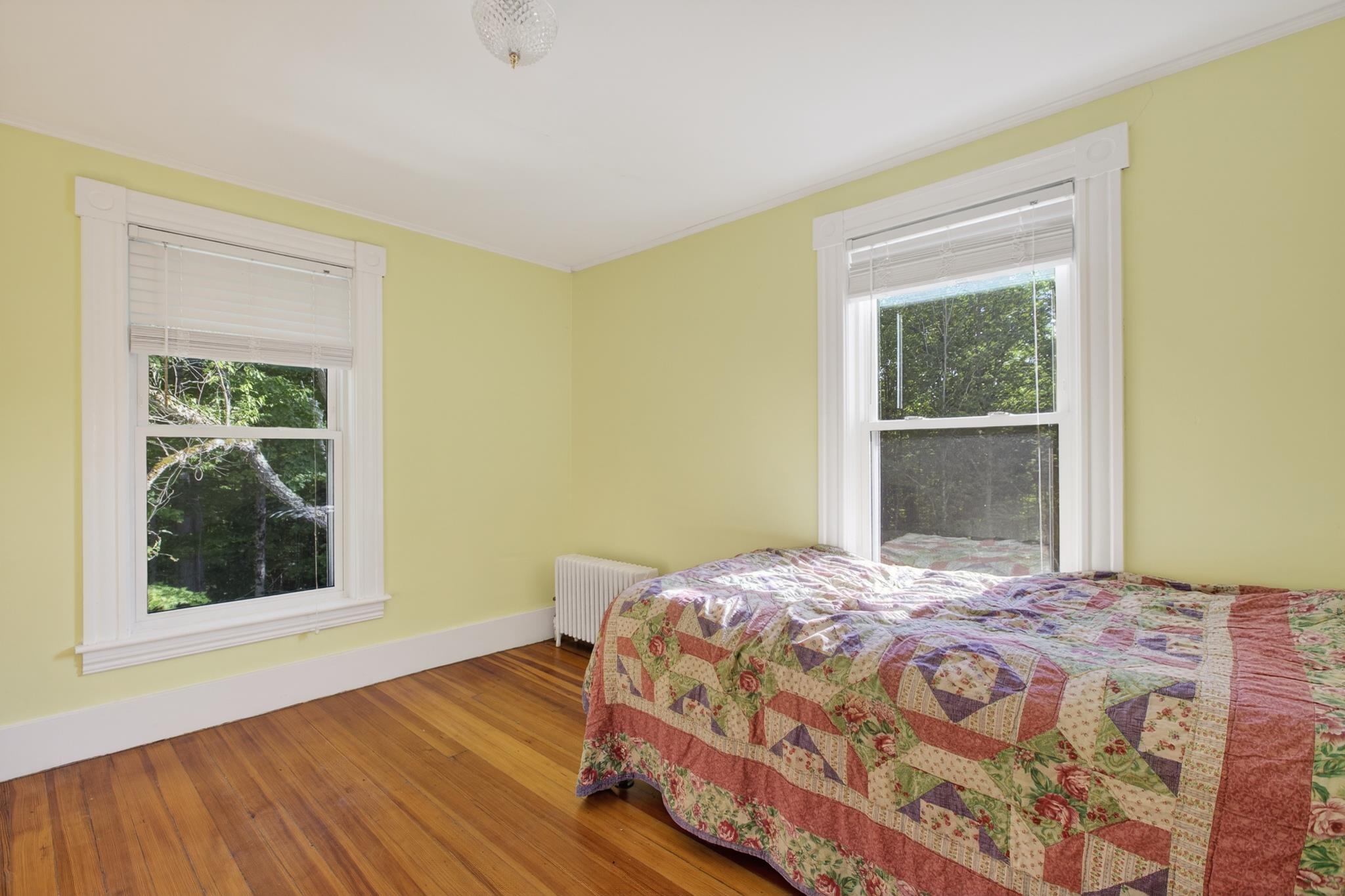17 Forest Road Property Photo 23
